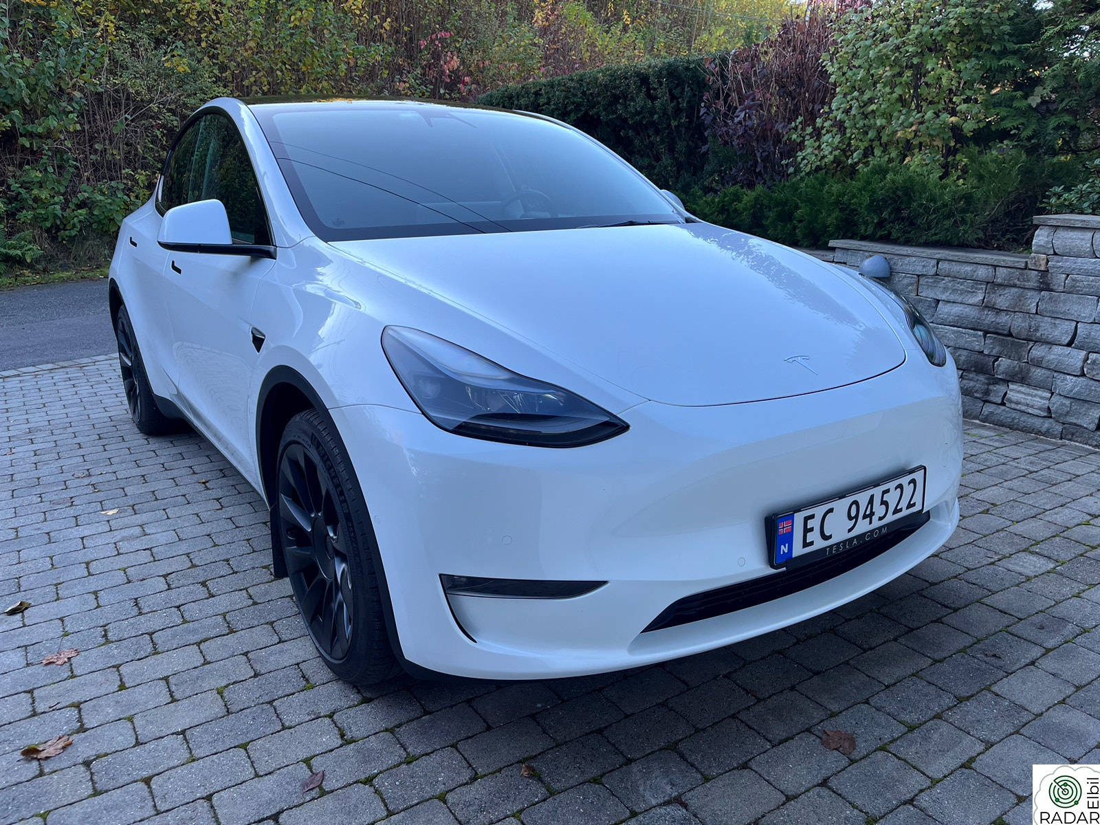 TESLA Model Y Long Range AWD Premium