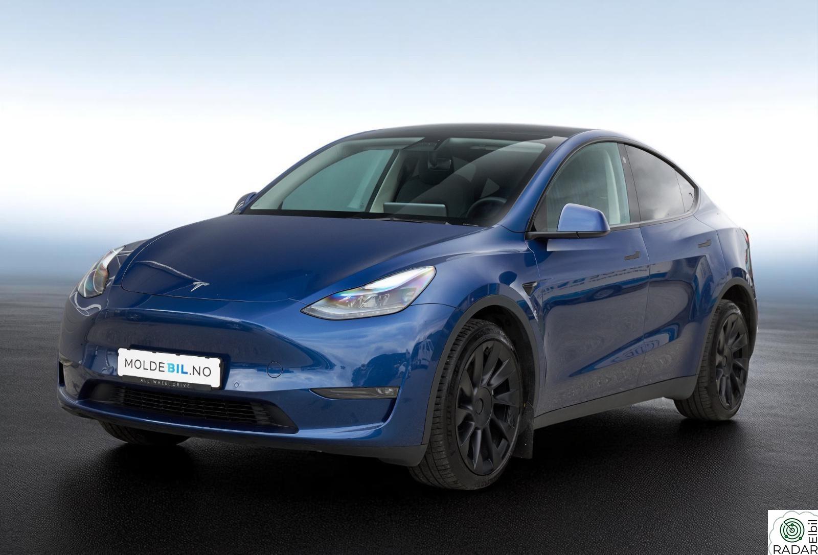 TESLA Model Y Long Range/Skinn/ Premium
