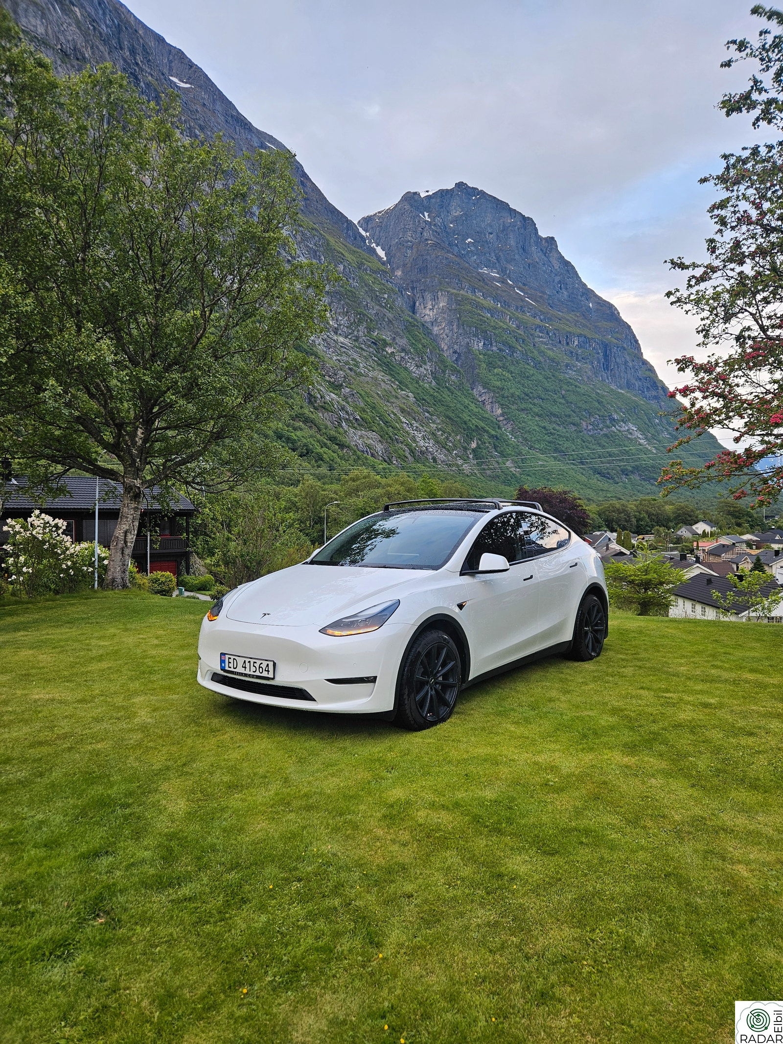 TESLA Model Y Long Range AWD