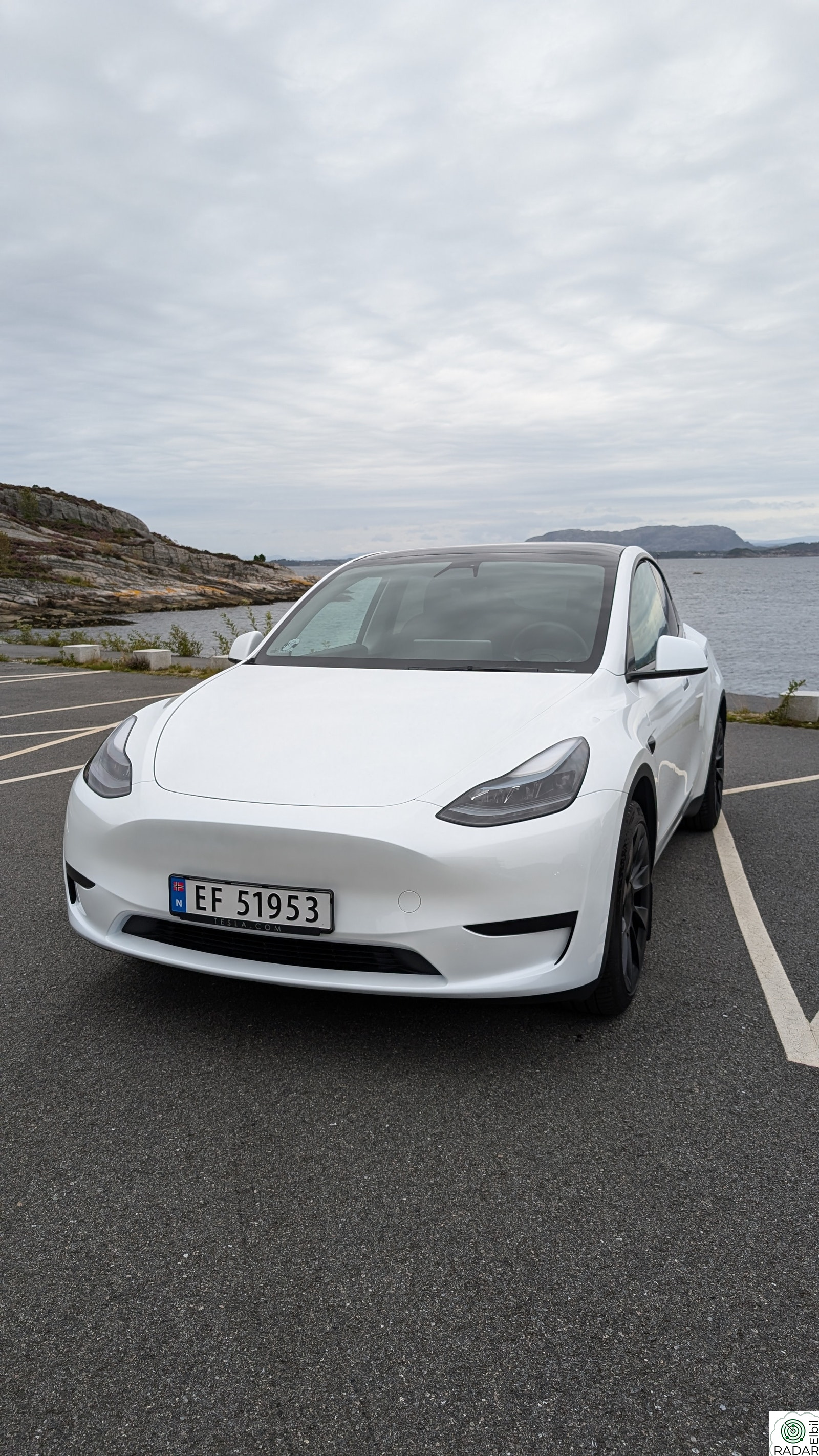 TESLA Model Y Standard Range RWD