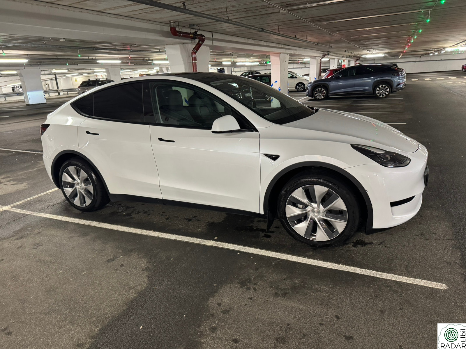 TESLA Model Y Standard Range RWD