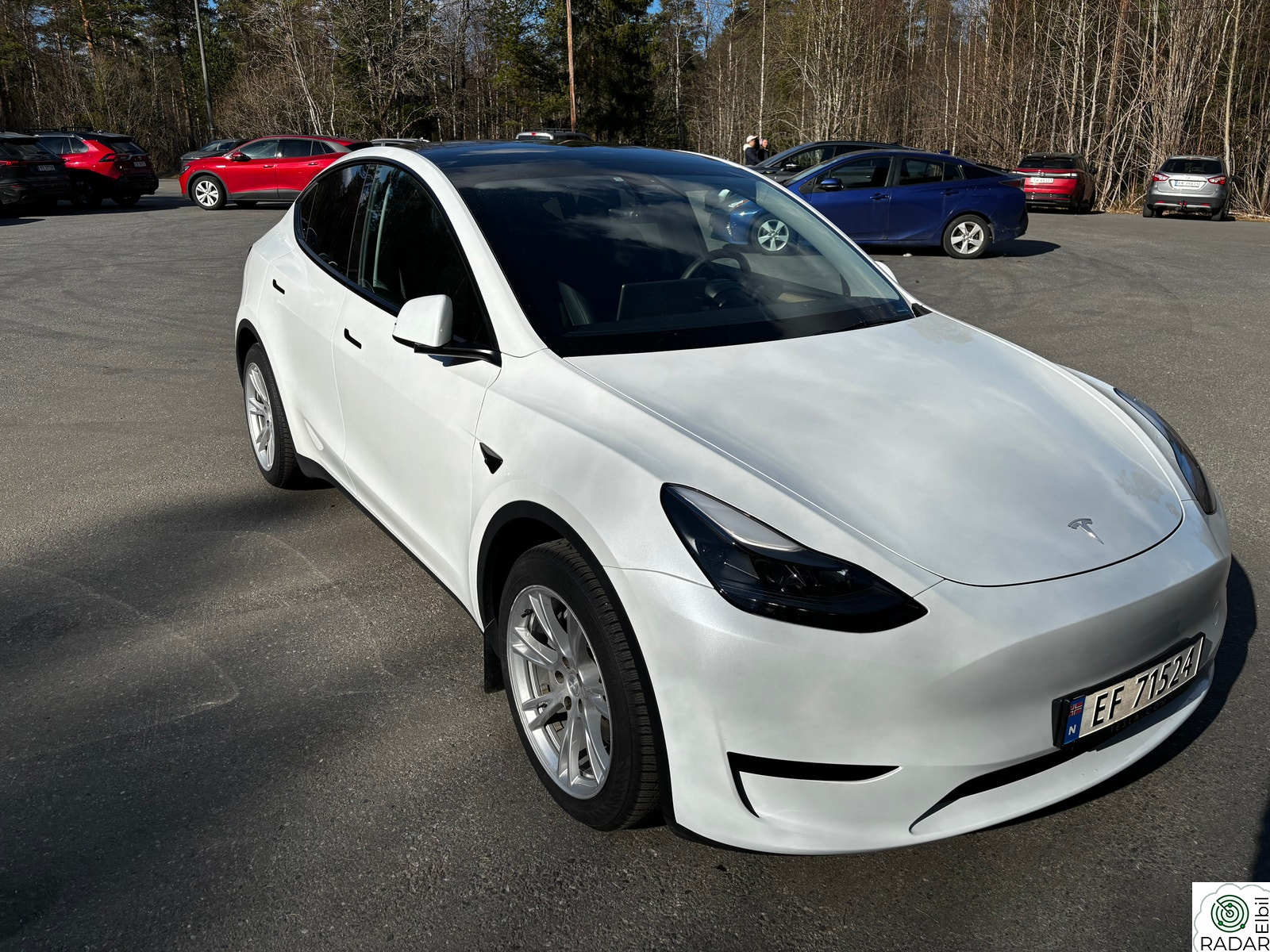 TESLA Model Y Standard Range RWD