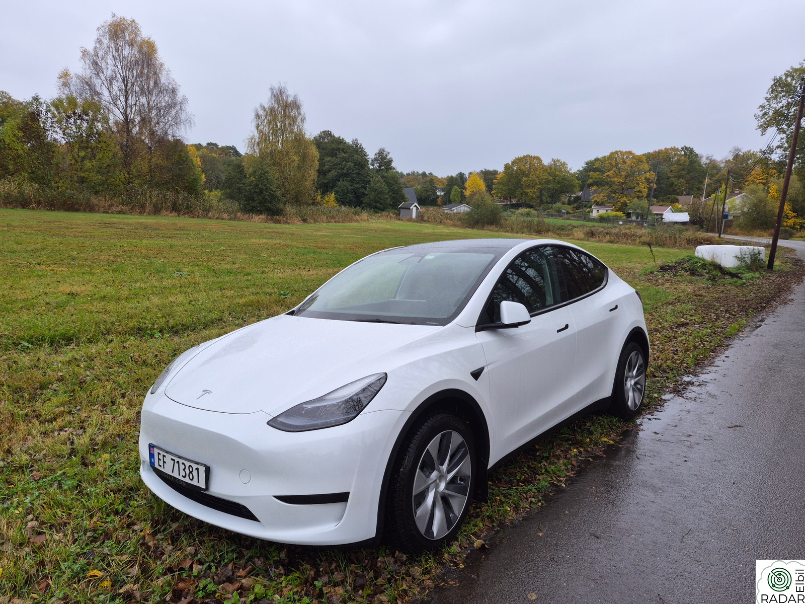 TESLA Model Y Standard Range RWD