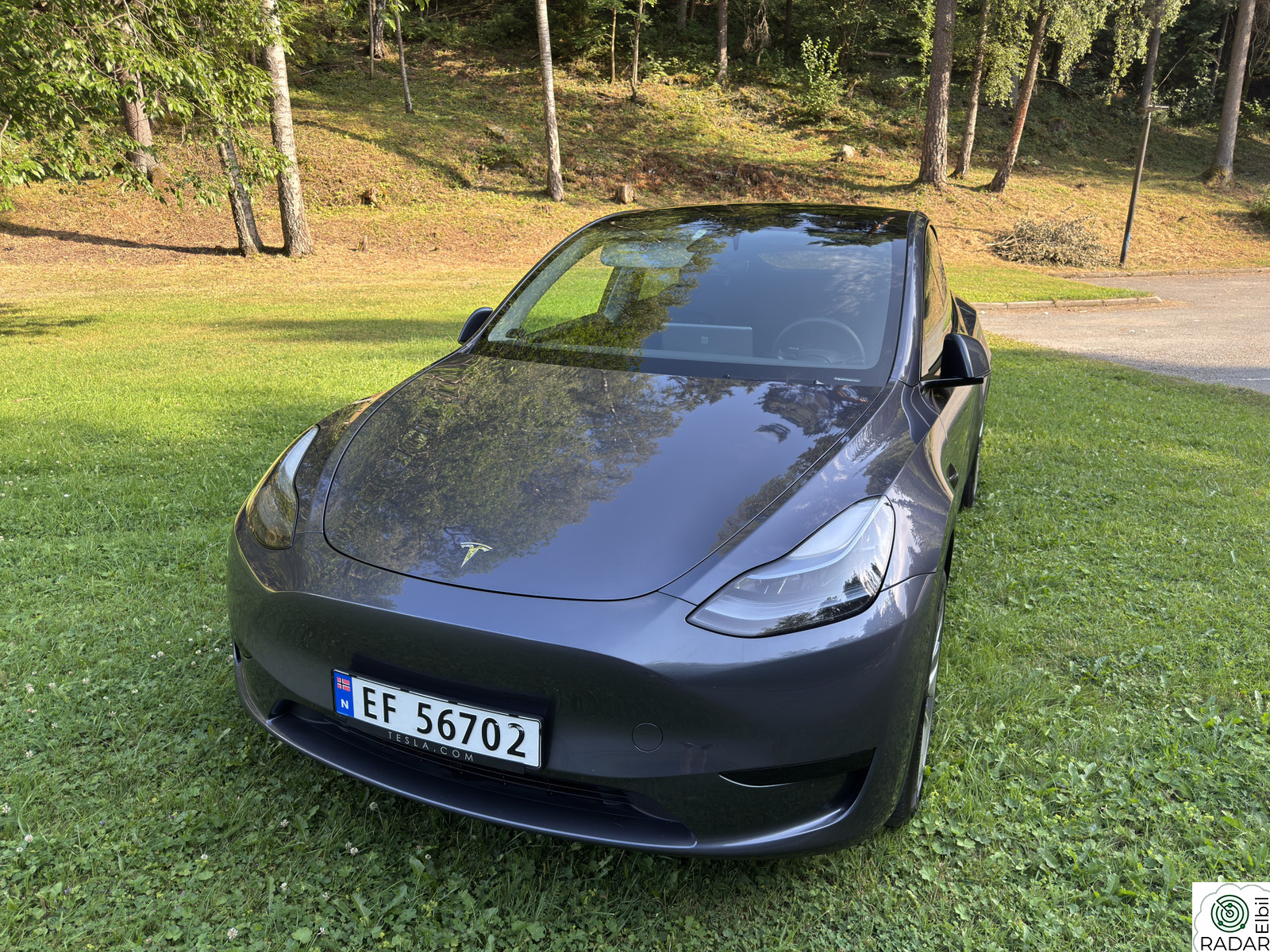 TESLA Model Y Standard Range RWD