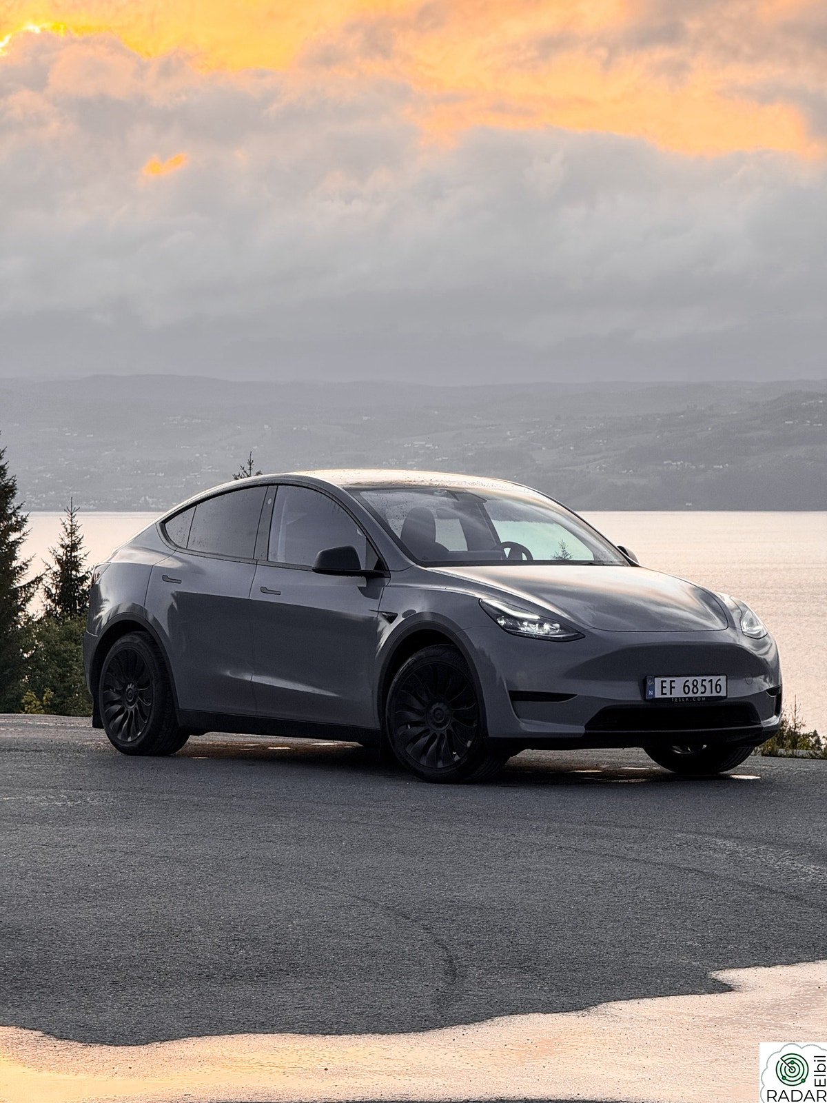 TESLA Model Y Standard Range RWD