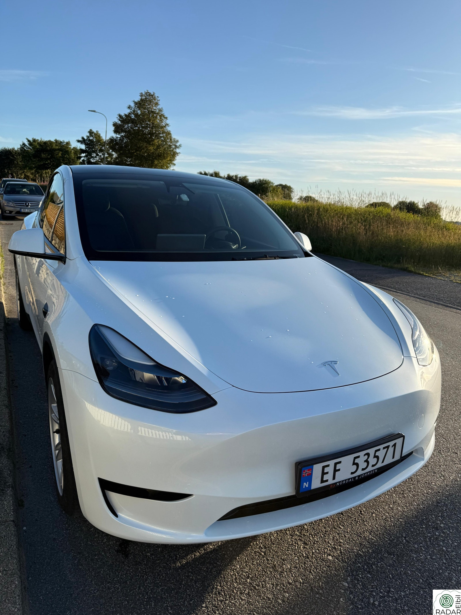 TESLA Model Y Standard Range RWD