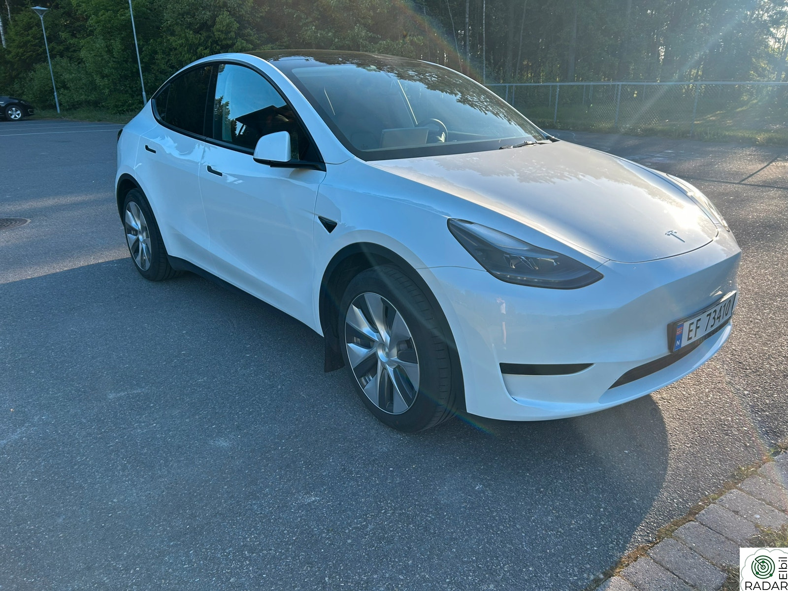 TESLA Model Y Standard Range RWD