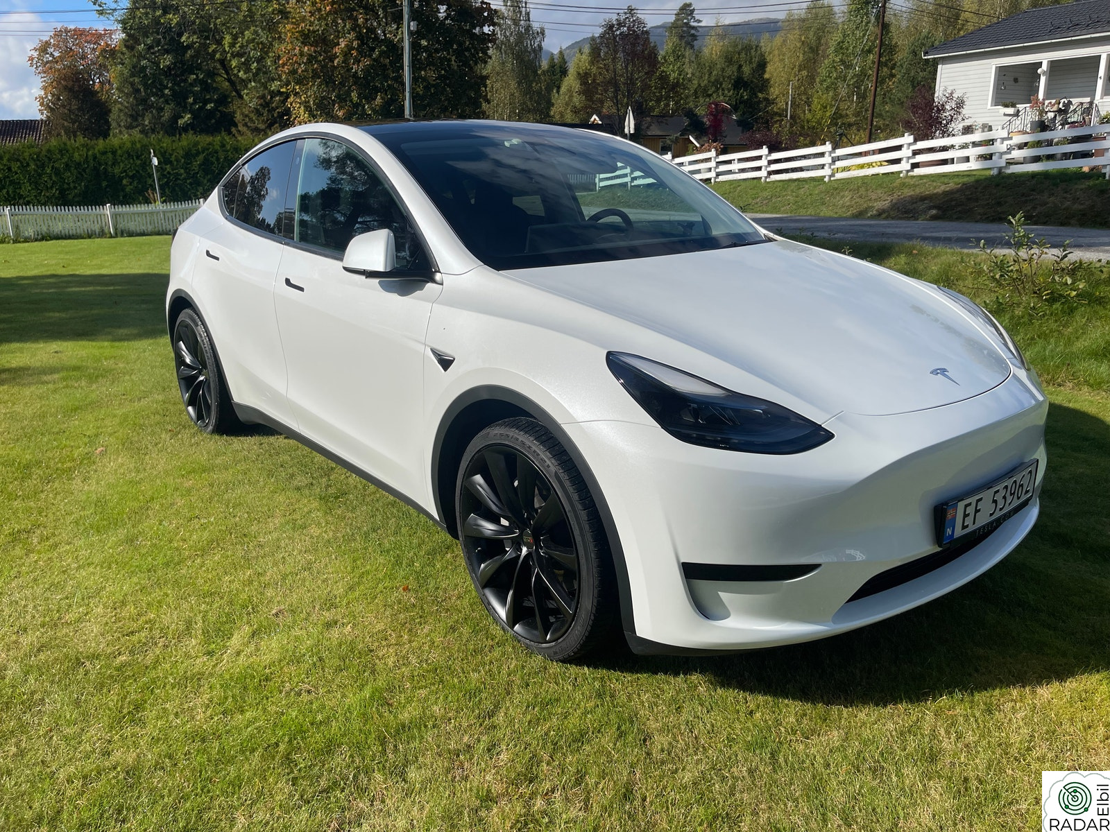 TESLA Model Y Standard Range RWD