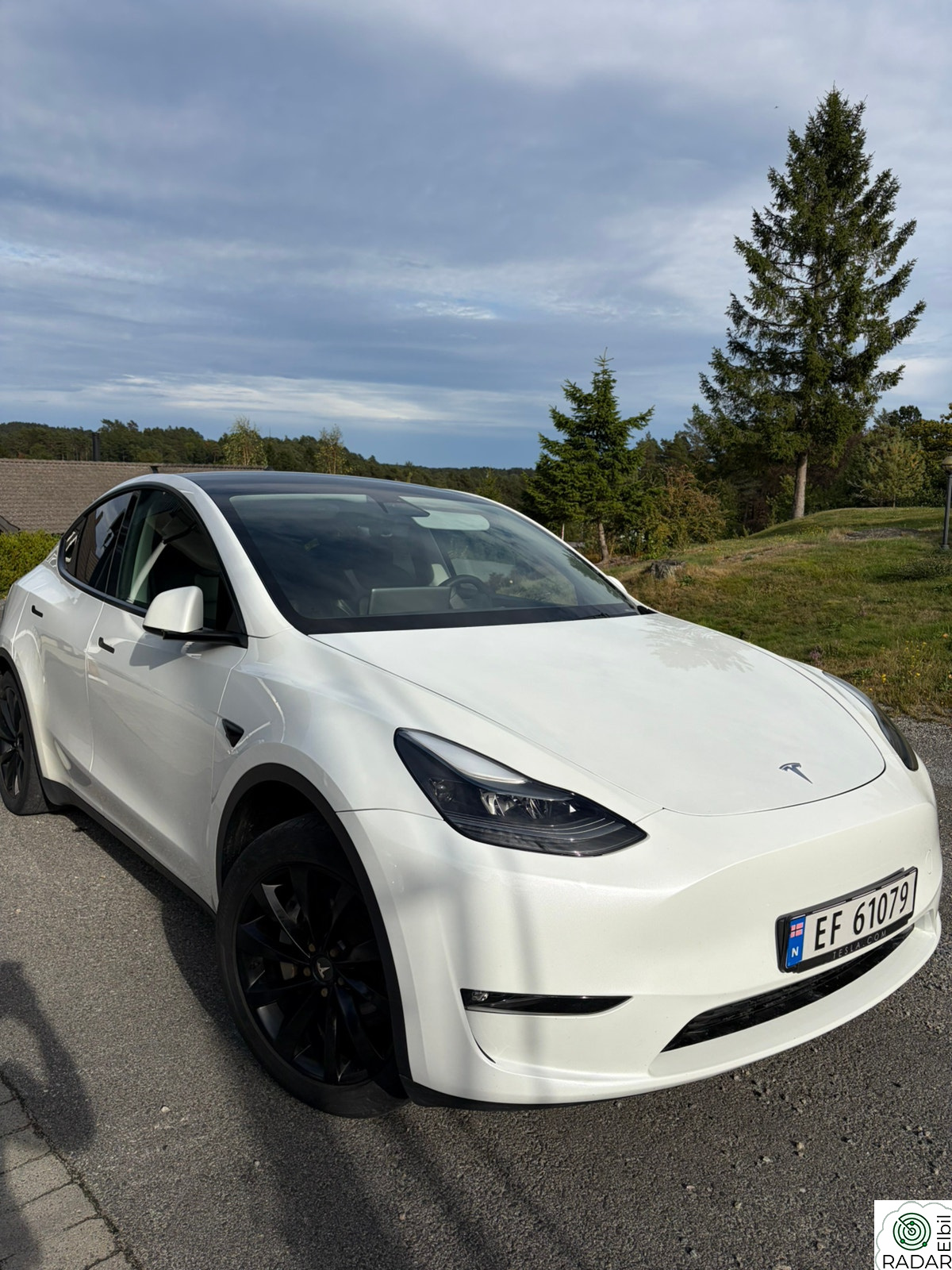 TESLA Model Y Long Range AWD