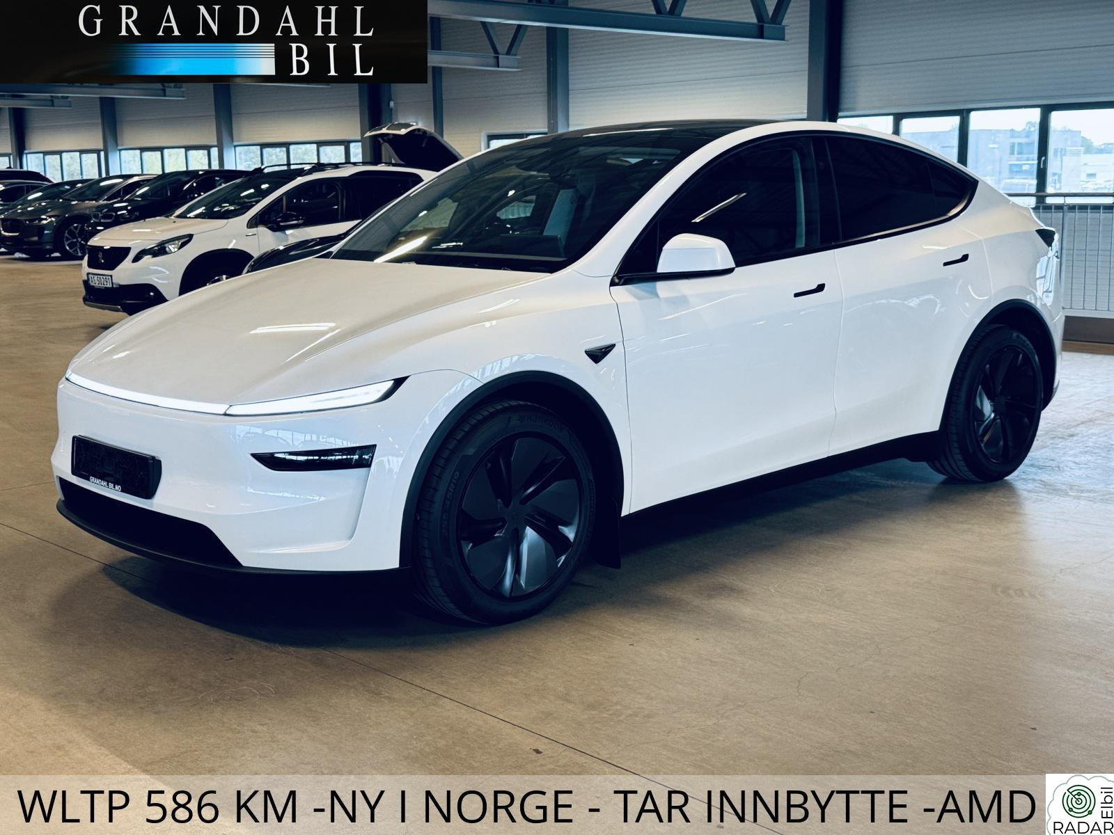 TESLA Model Y LONG RANGE - 4WD - HENGERFESTE - JUNIPER