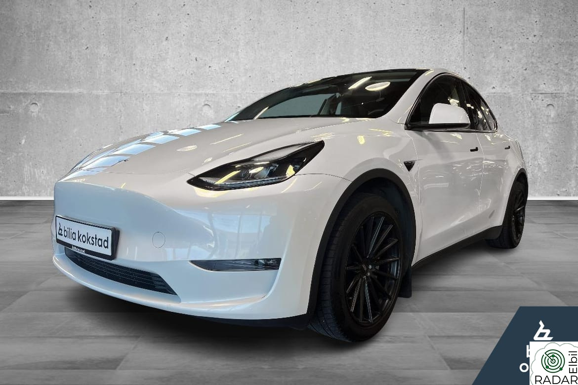 TESLA Model Y AWD LR/Navi/360Kamera/El.seter/Panorama/Skinn