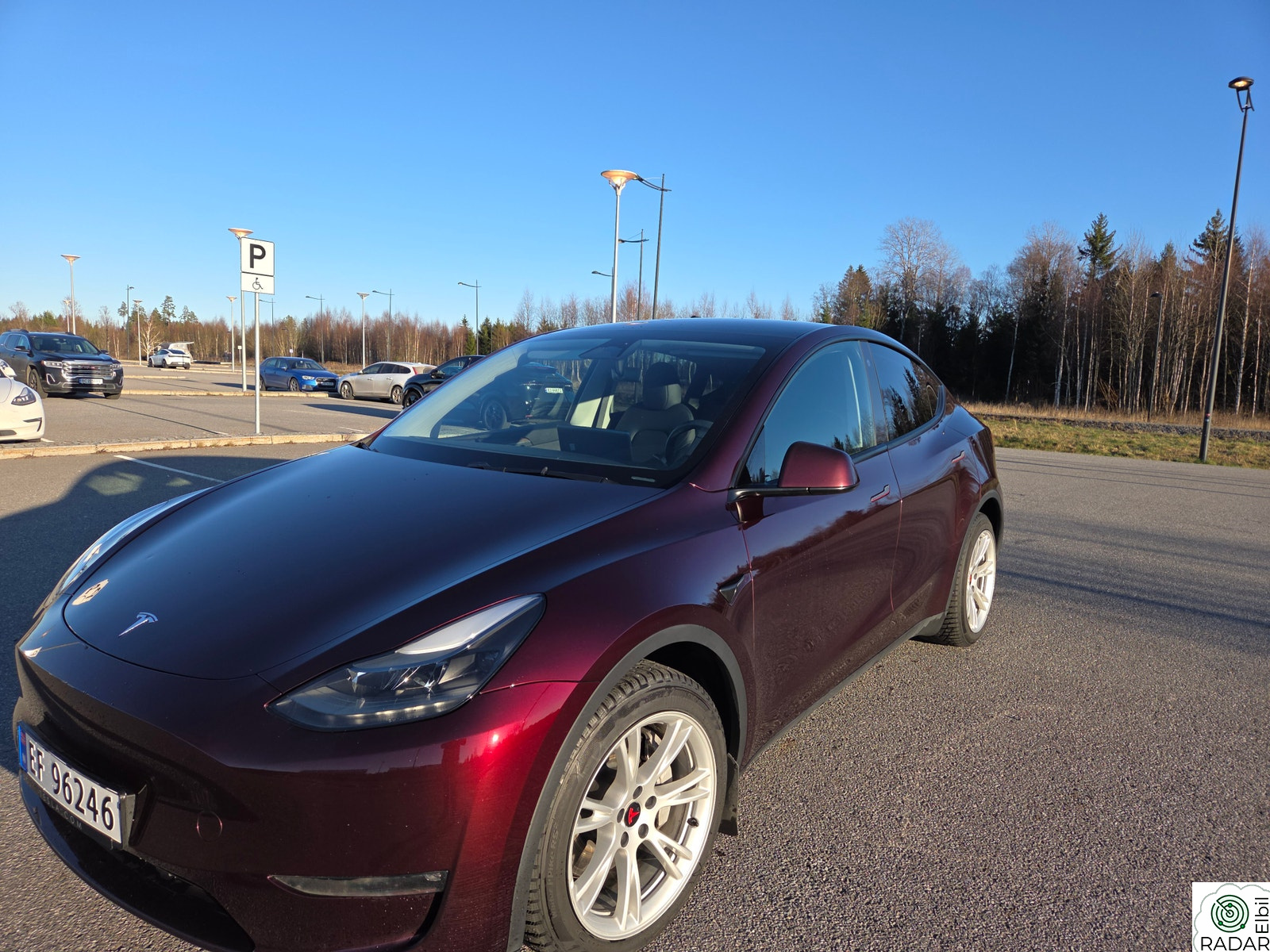TESLA Model Y Long Range AWD