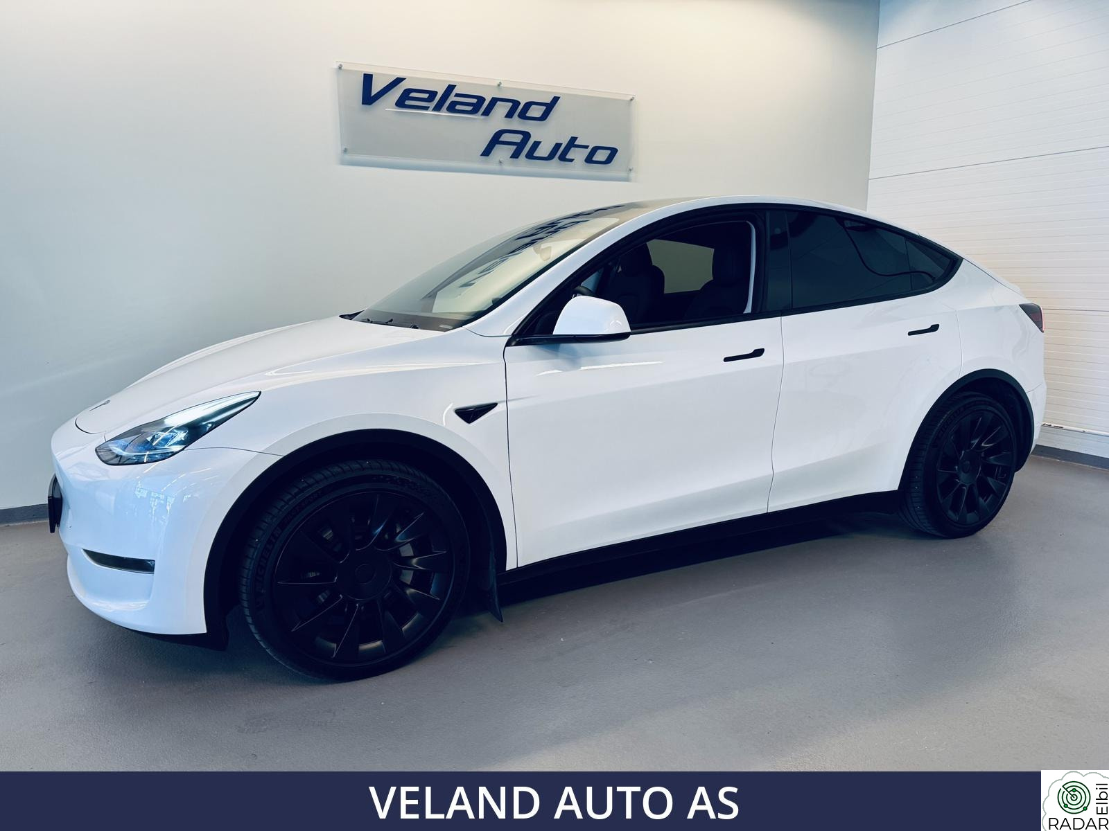 TESLA Model Y LONG RANGE AWD /PREMIUM/SKINN/PANO/AP/ACC/KROK