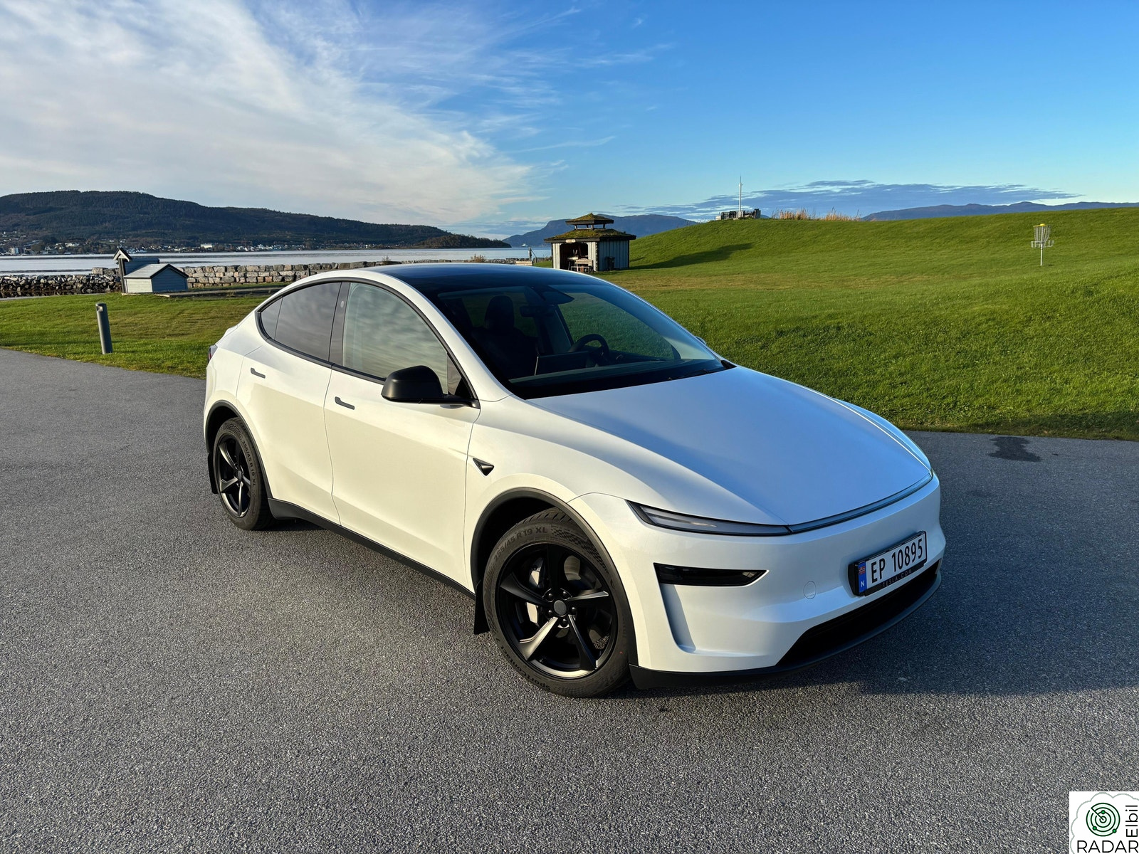 TESLA Model Y Long Range AWD Juniper