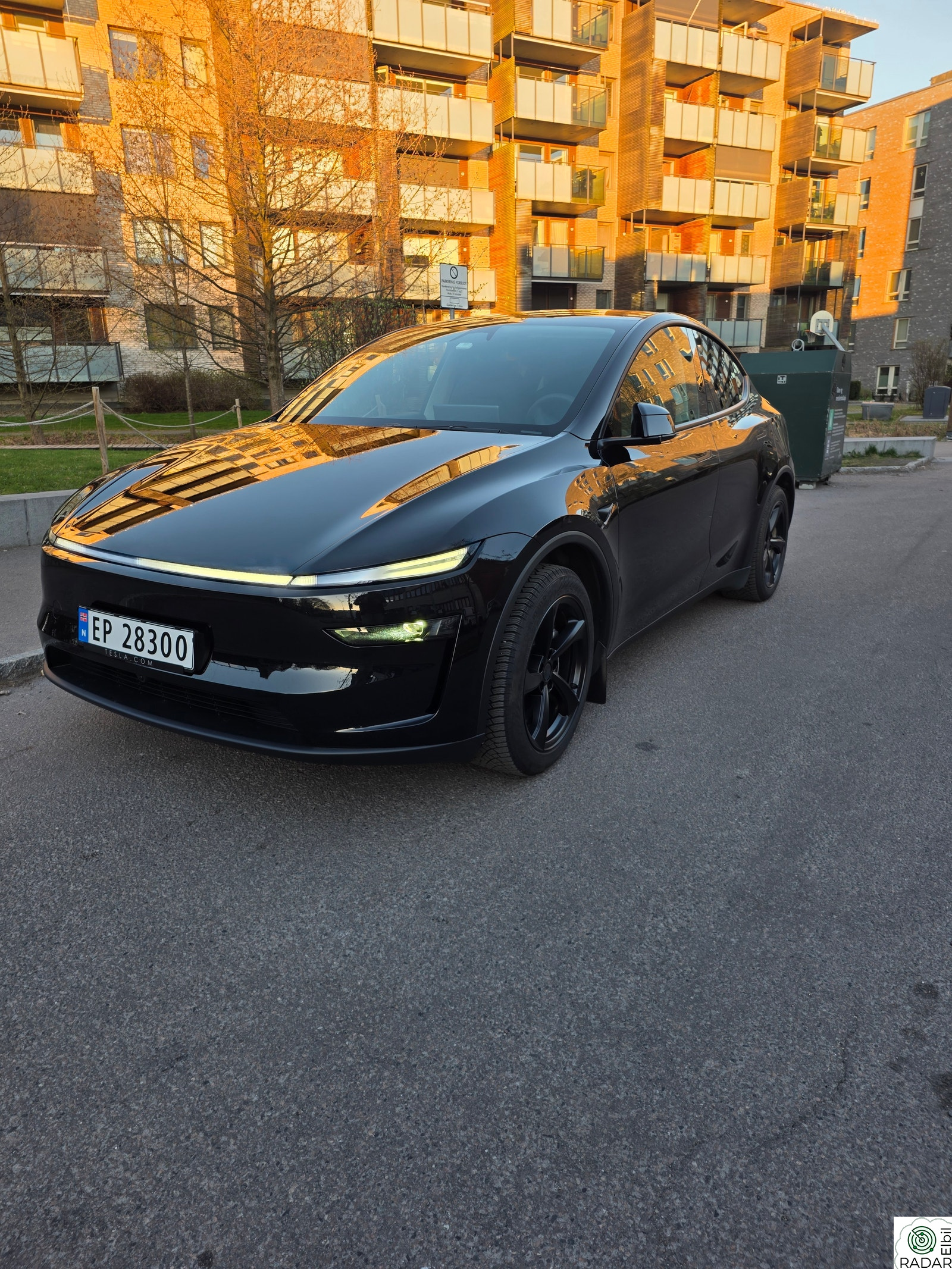 TESLA Model Y Long Range AWD