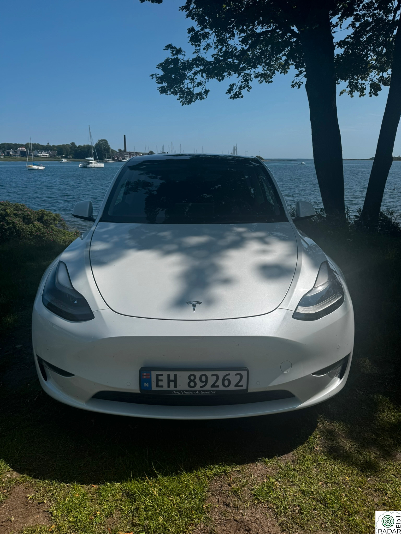 TESLA Model Y Long Range AWD