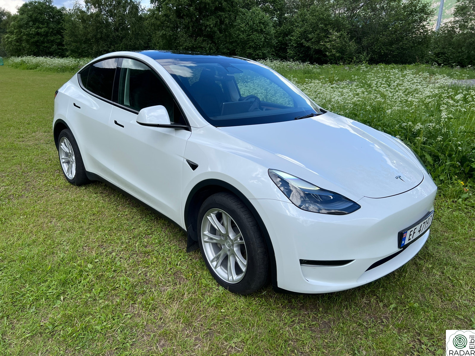 TESLA Model Y Long Range AWD