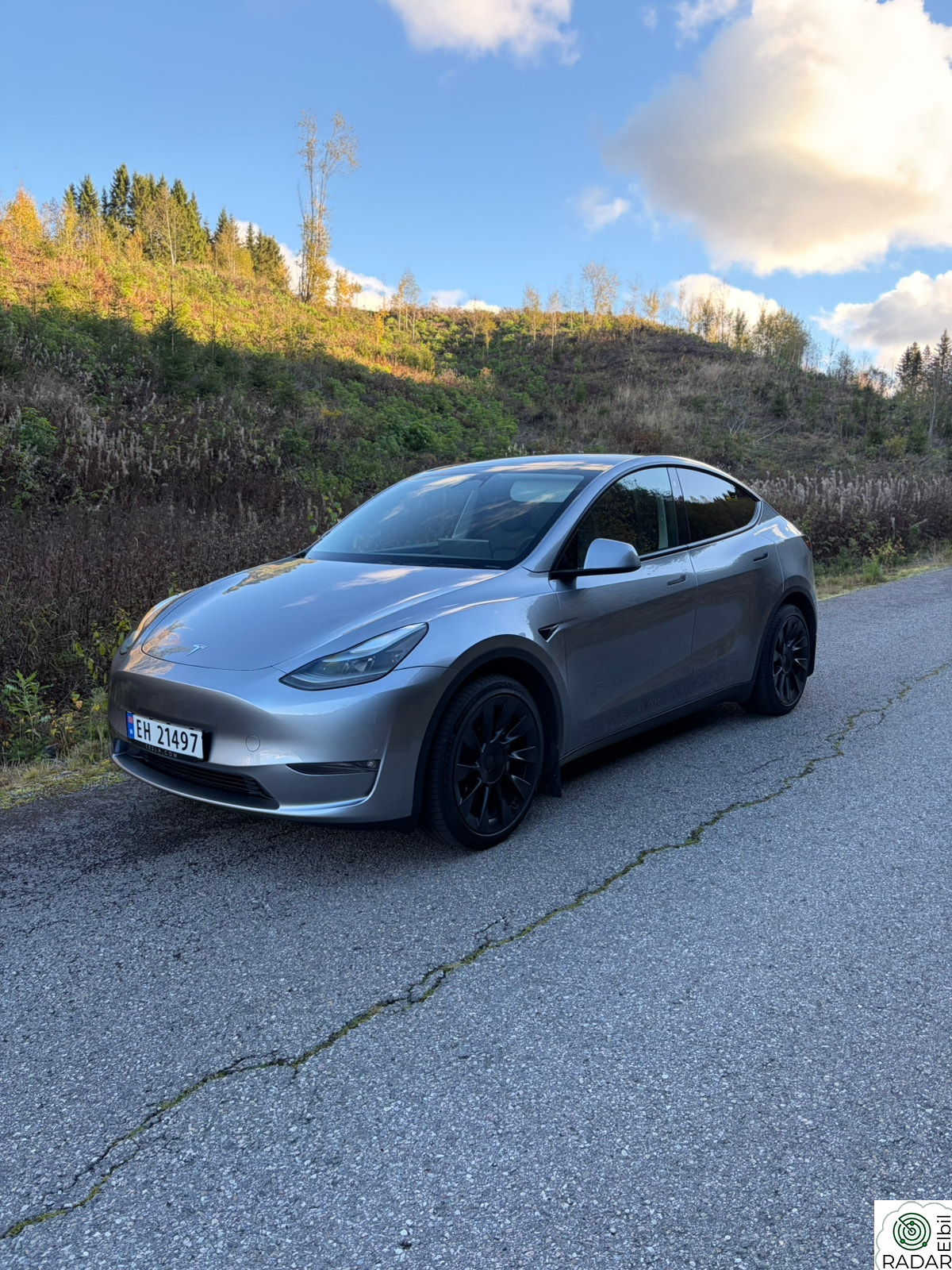 TESLA Model Y Long Range AWD