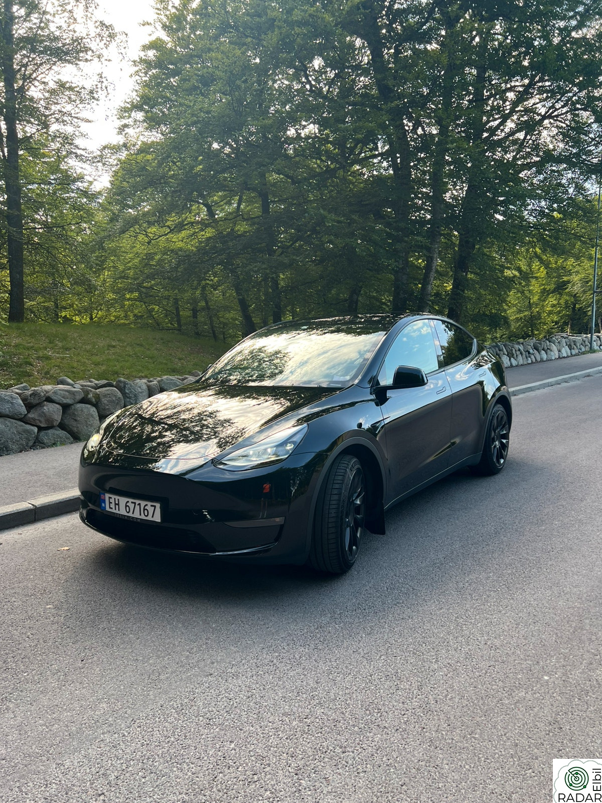 TESLA Model Y Long Range AWD