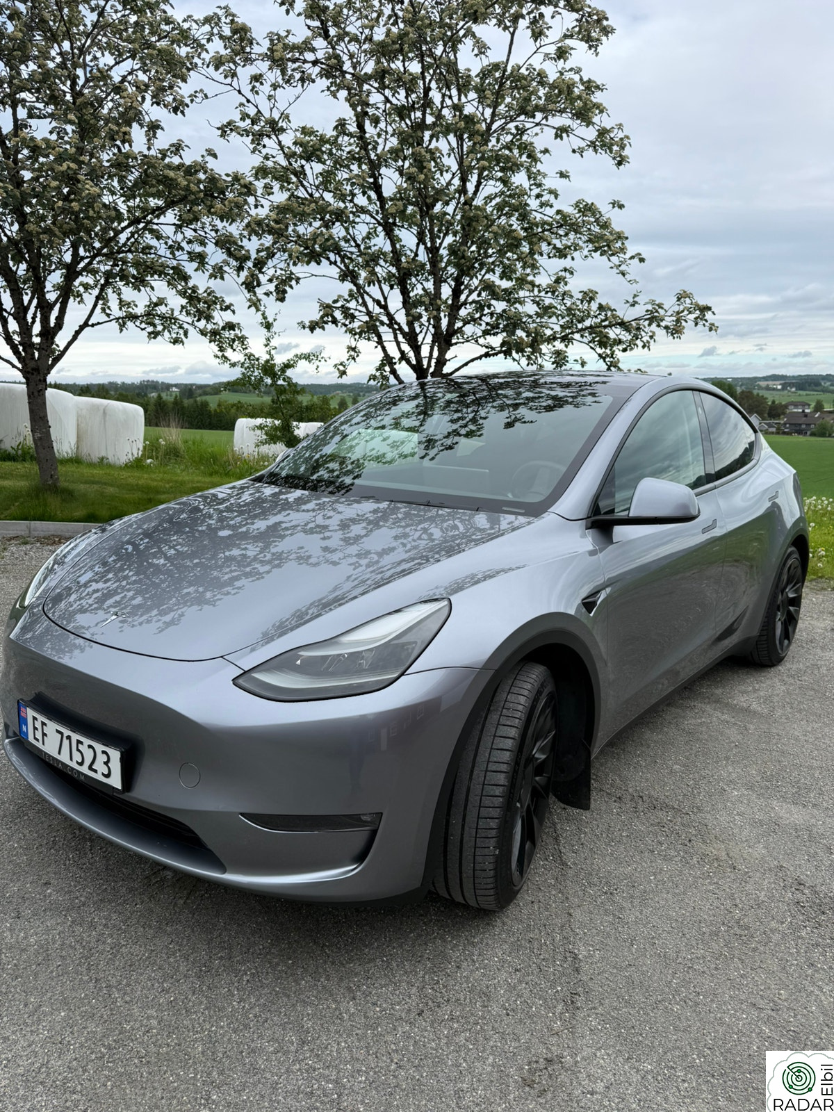 TESLA Model Y Tesla Model Y 2023 – LR AWD - Velholdt - Quicksilver