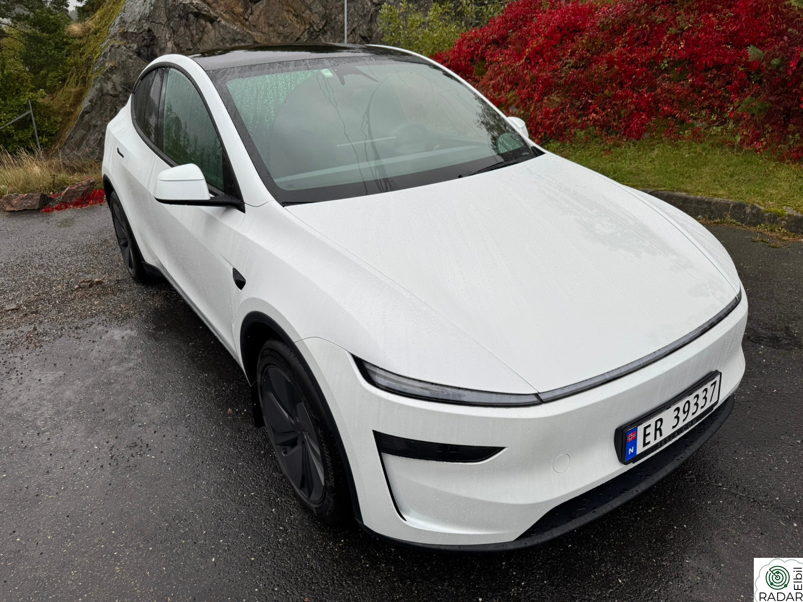 TESLA Model Y Premium Long Range AWD
