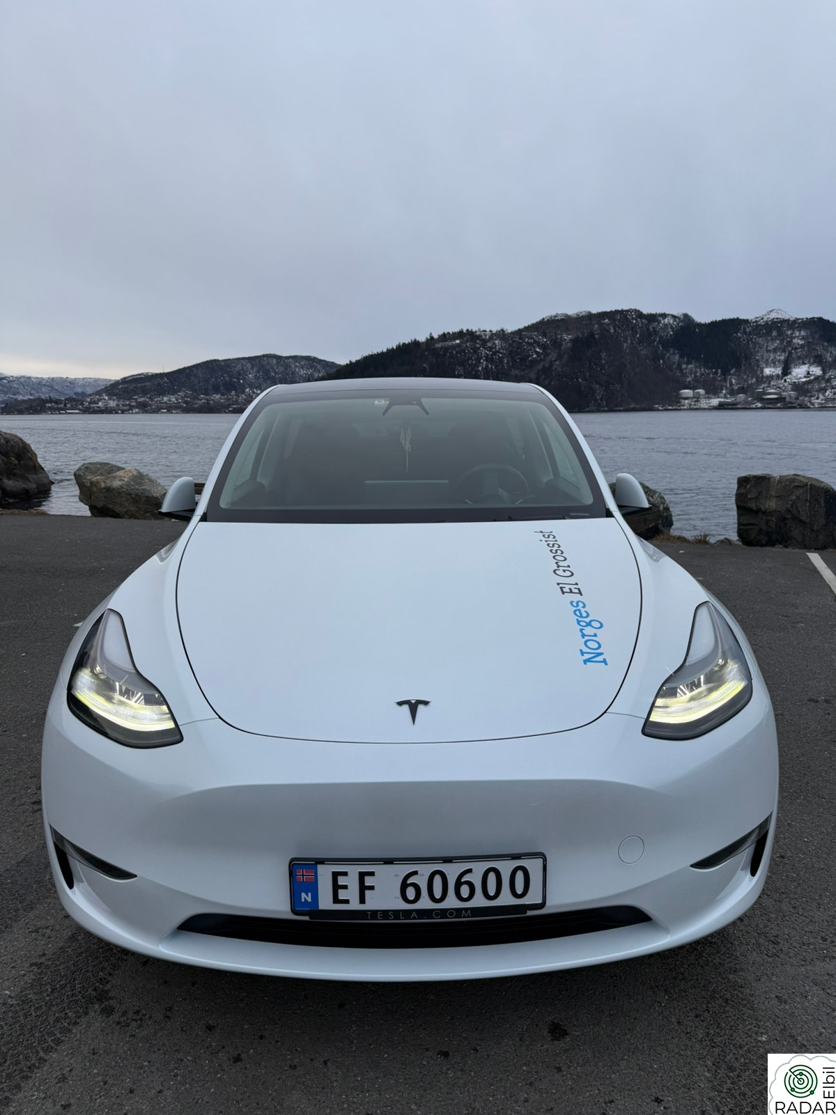TESLA Model Y Long Range AWD