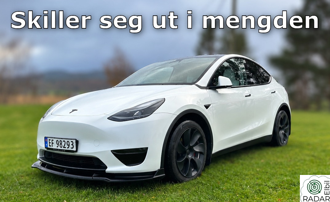 TESLA Model Y Long Range AWD