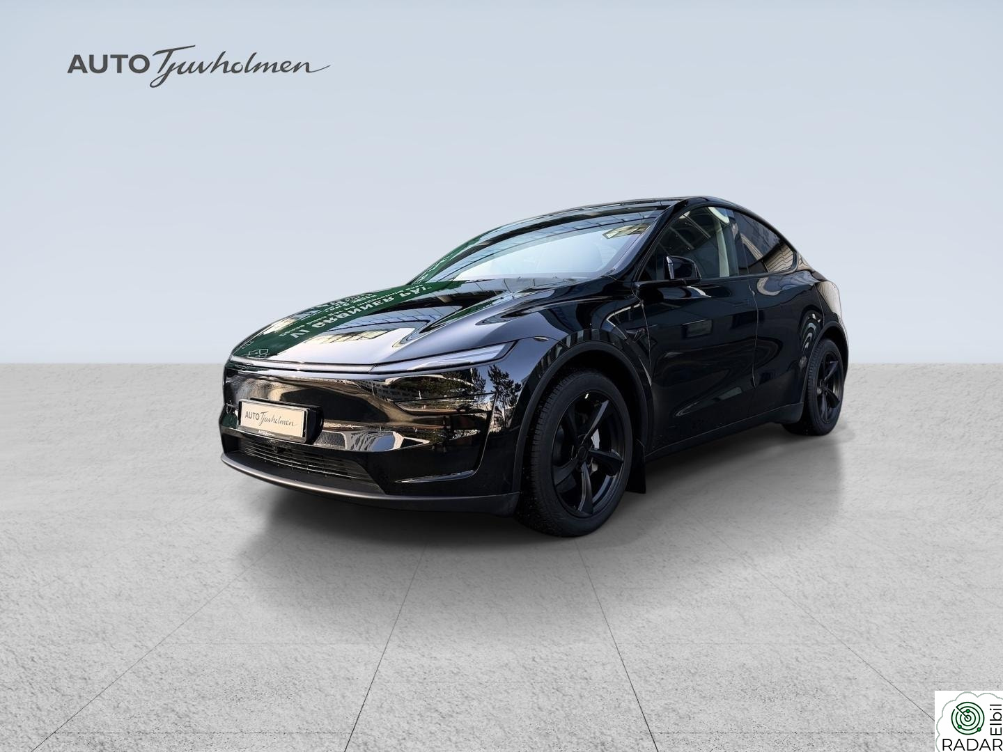 TESLA Model Y Long Range AWD, Juniper, Premium, Pano, Krok, 19"+19"