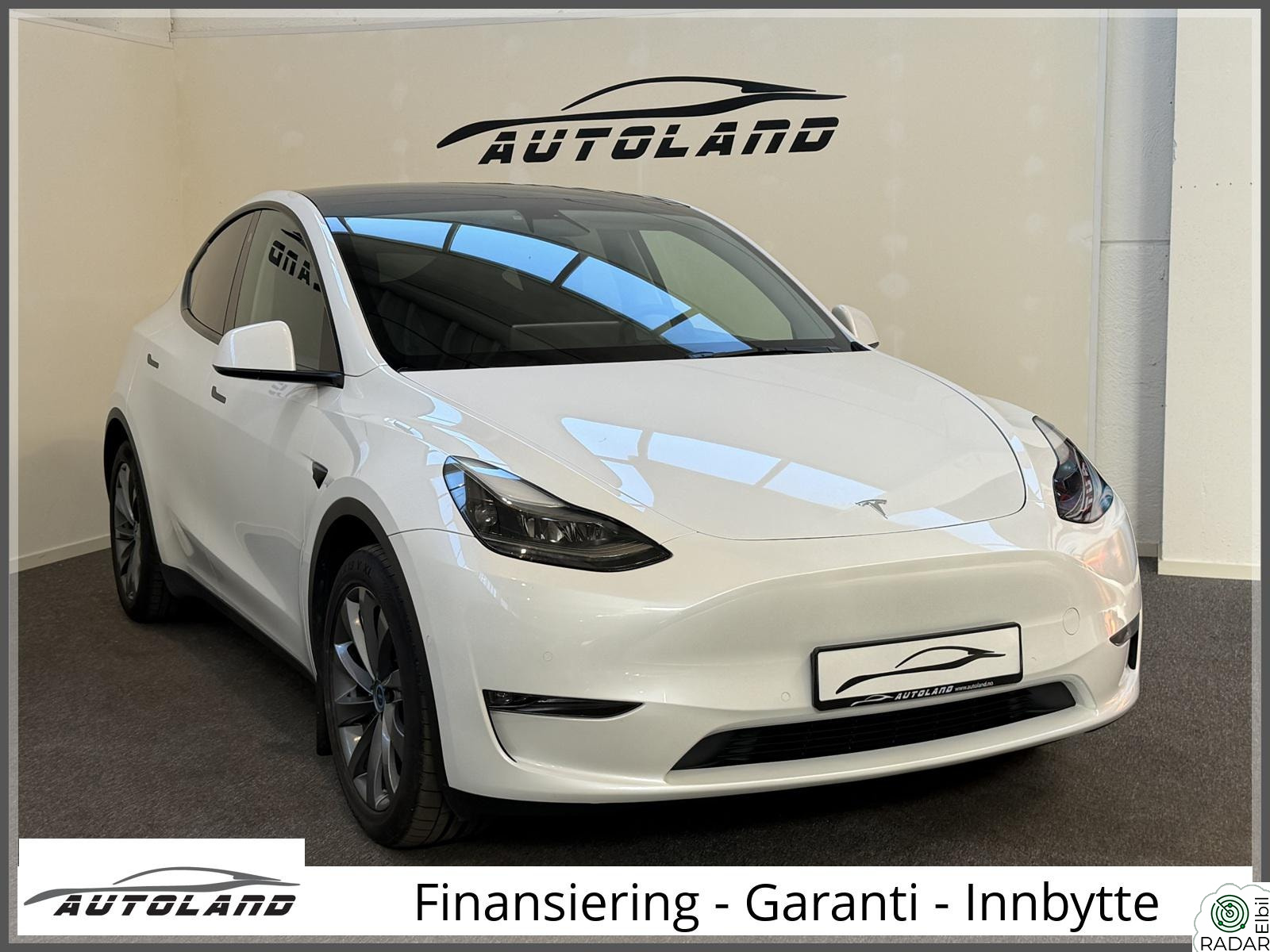 TESLA Model Y Long Range Skinn Autopilot