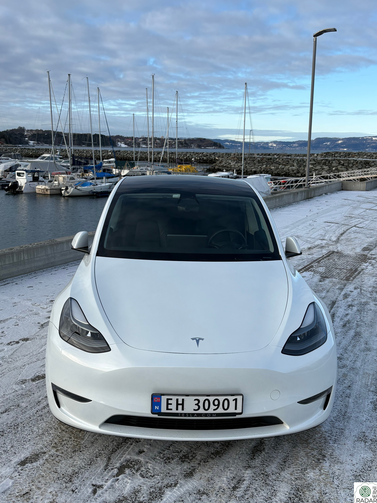 TESLA Model Y Long Range AWD