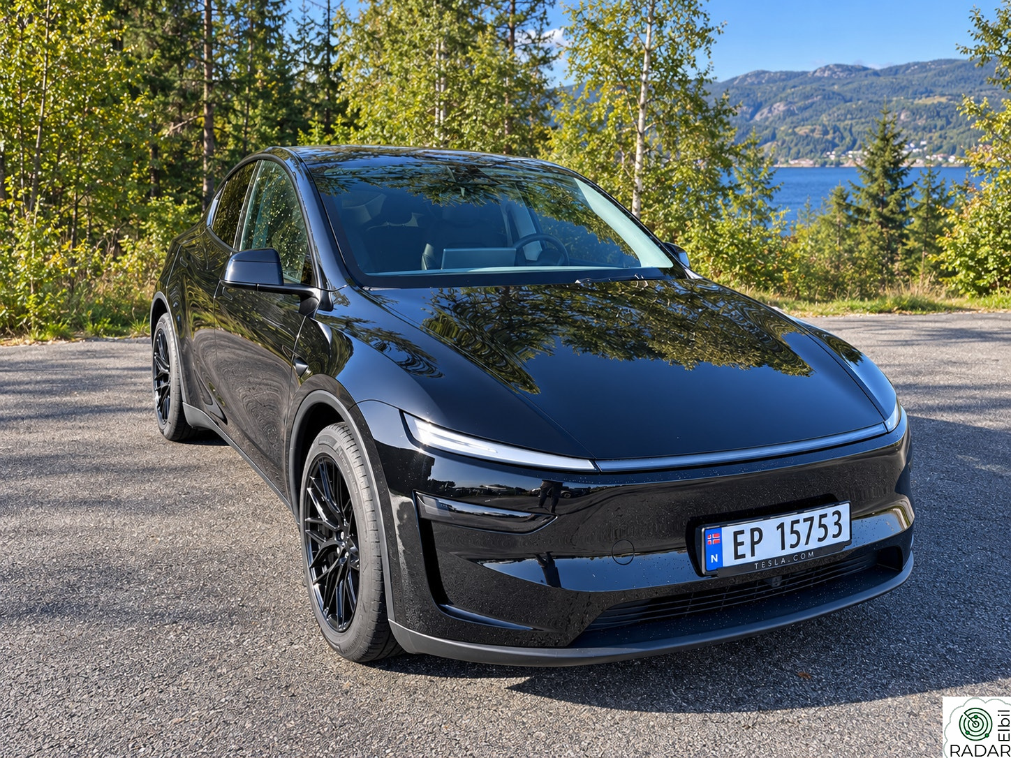 TESLA Model Y Long Range AWD / Blackout / Coating