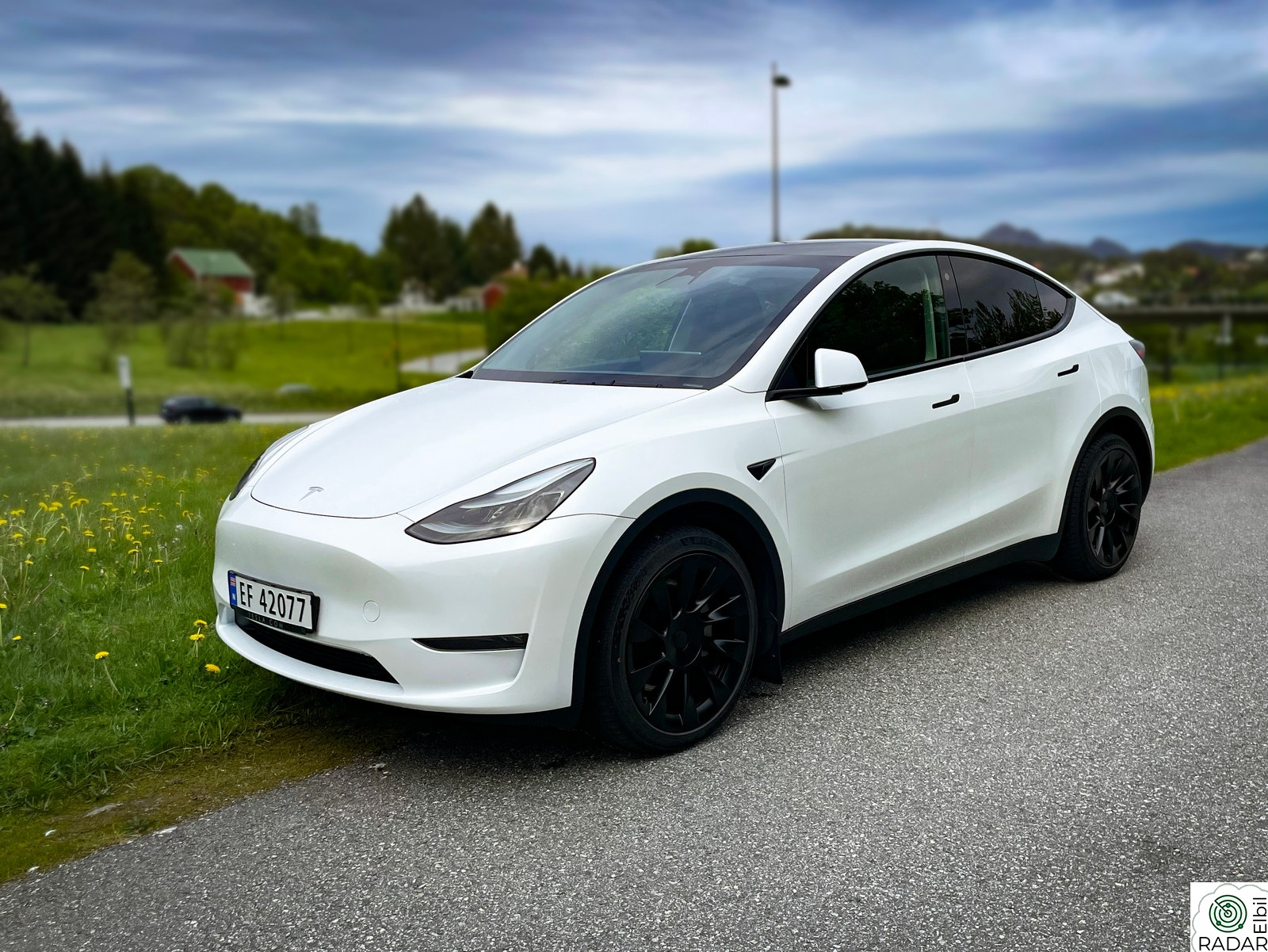 TESLA Model Y Long Range AWD