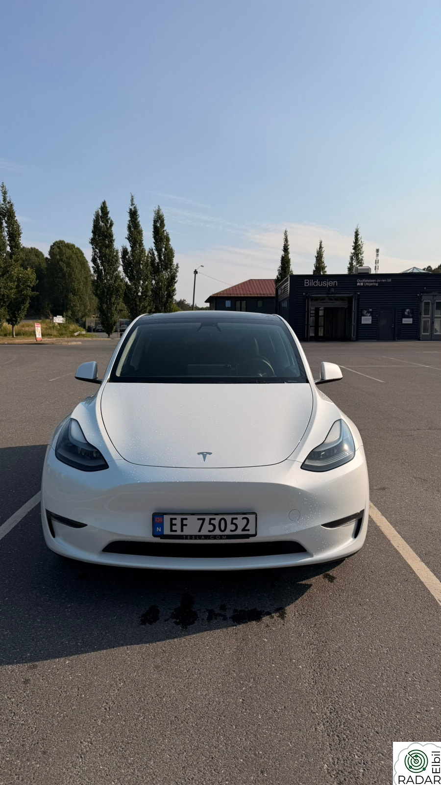 TESLA Model Y Long Range AWD
