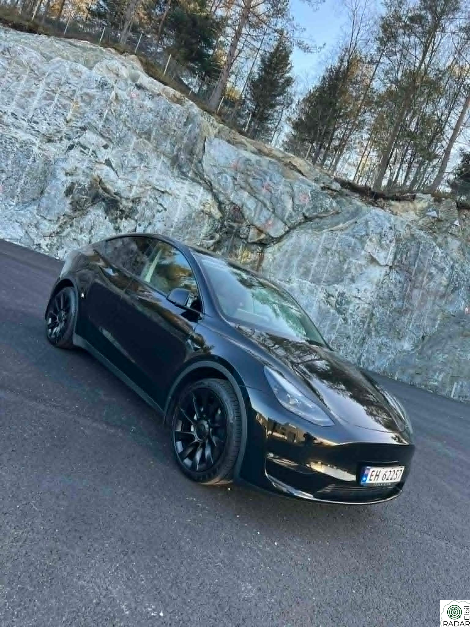 TESLA Model Y Long Range AWD