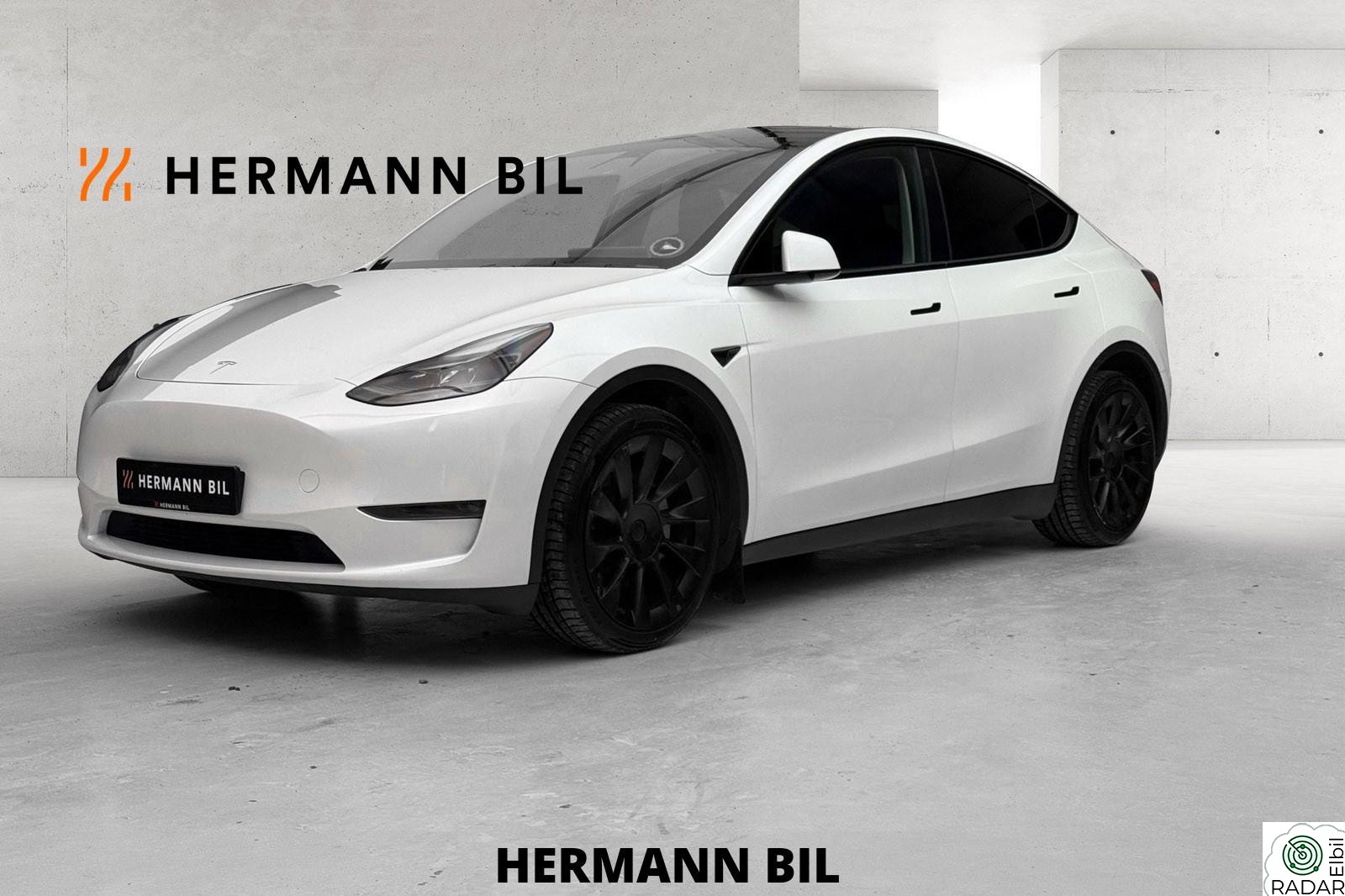 TESLA Model Y Long Range/Hengerfeste/Norsk/Skinn/Krok