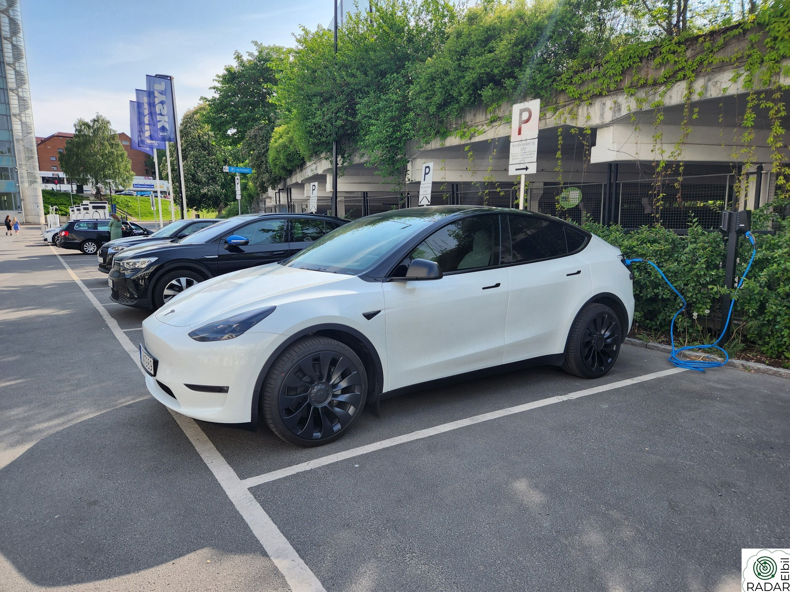 TESLA Model Y Long Range AWD