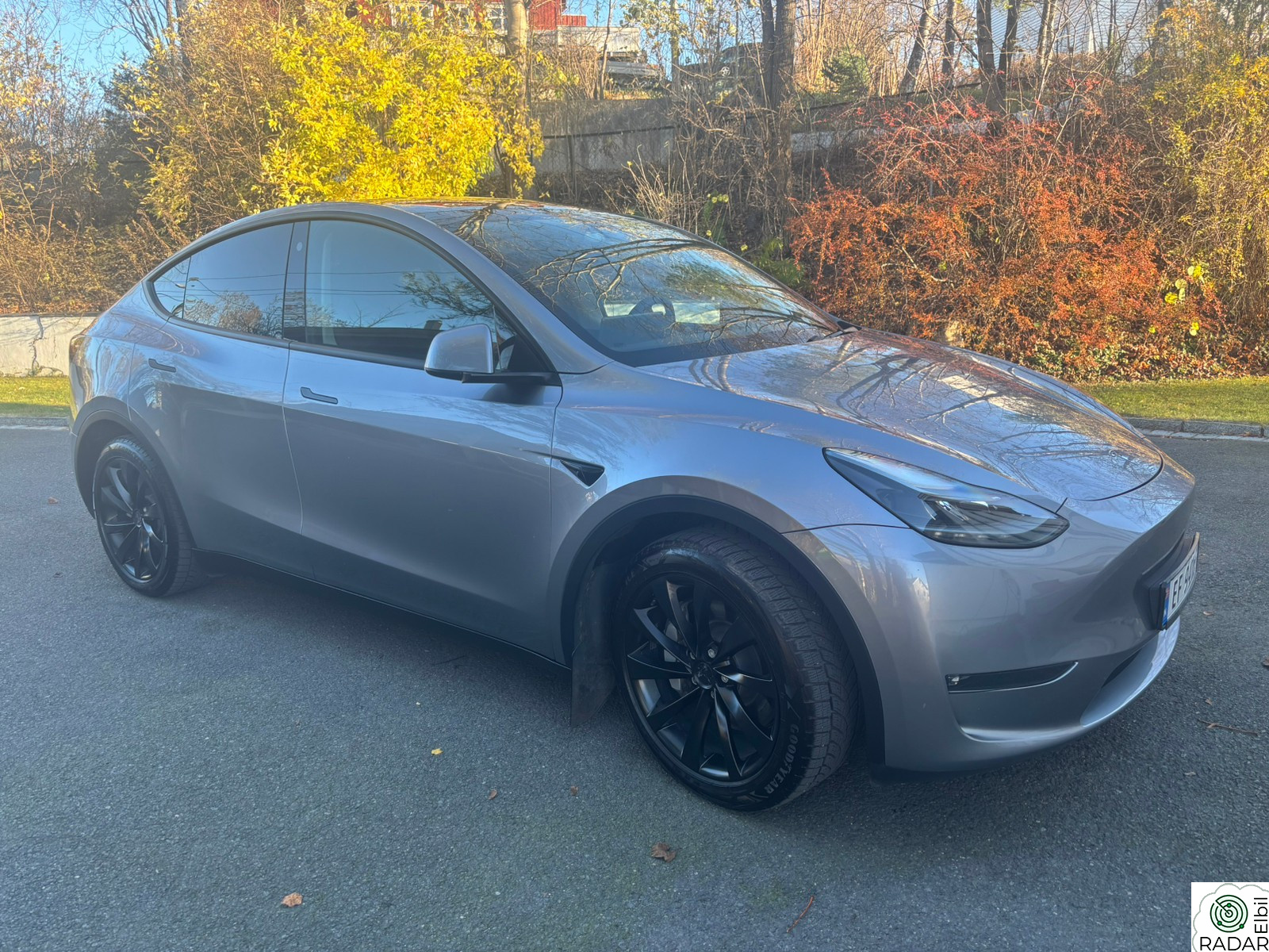TESLA Model Y Long Range AWD Quicksilver