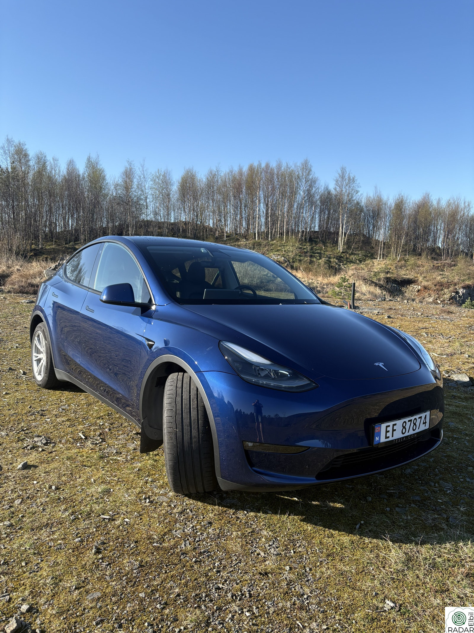 TESLA Model Y Long Range AWD
