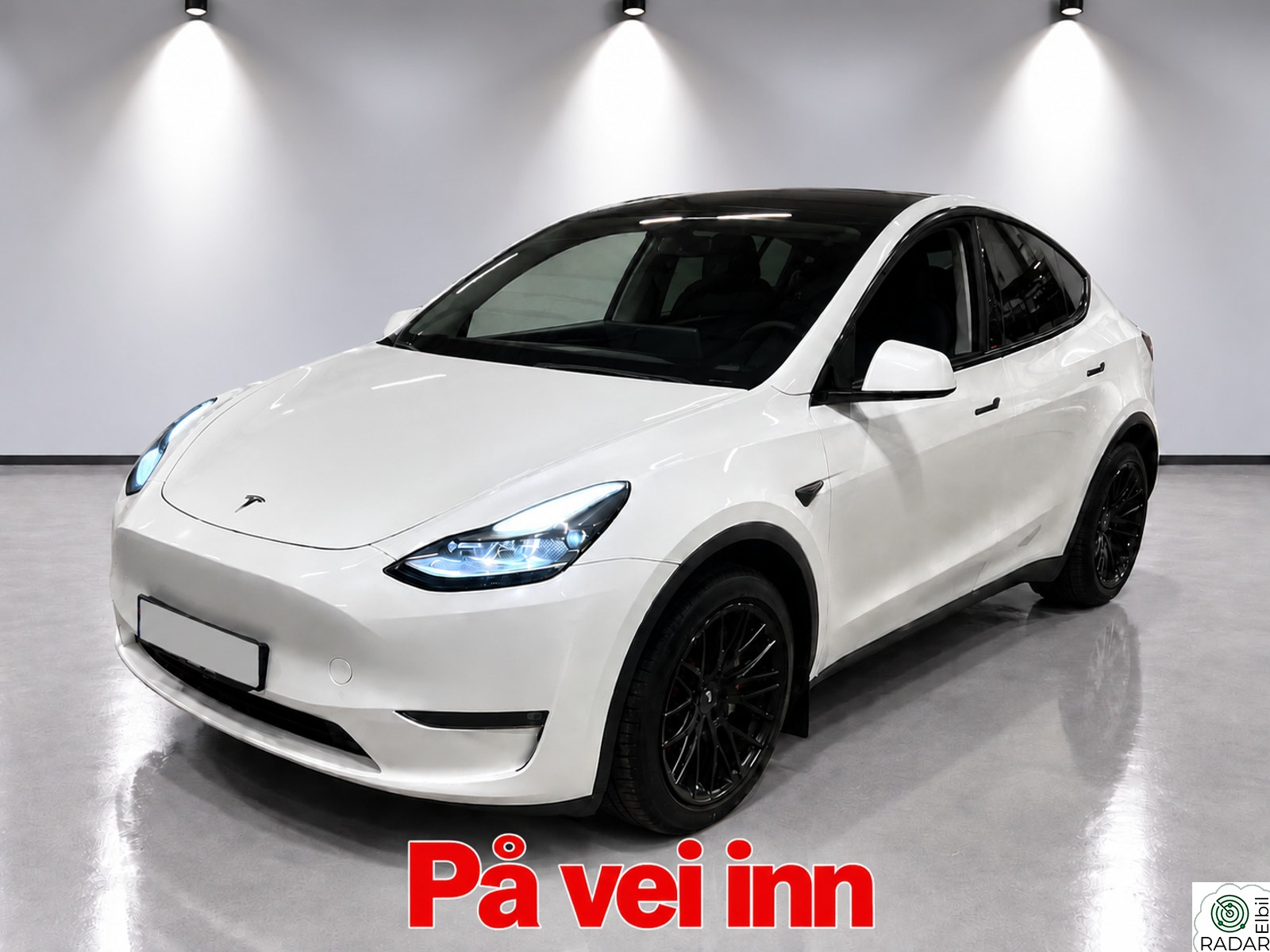 TESLA Model Y Long Range / AWD / KROK / SKINN / AUTOPILOT / S+V
