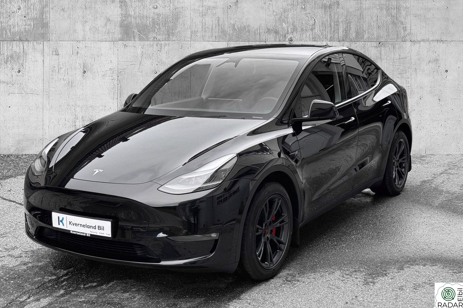 TESLA Model Y Long Range, AWD,Panorama