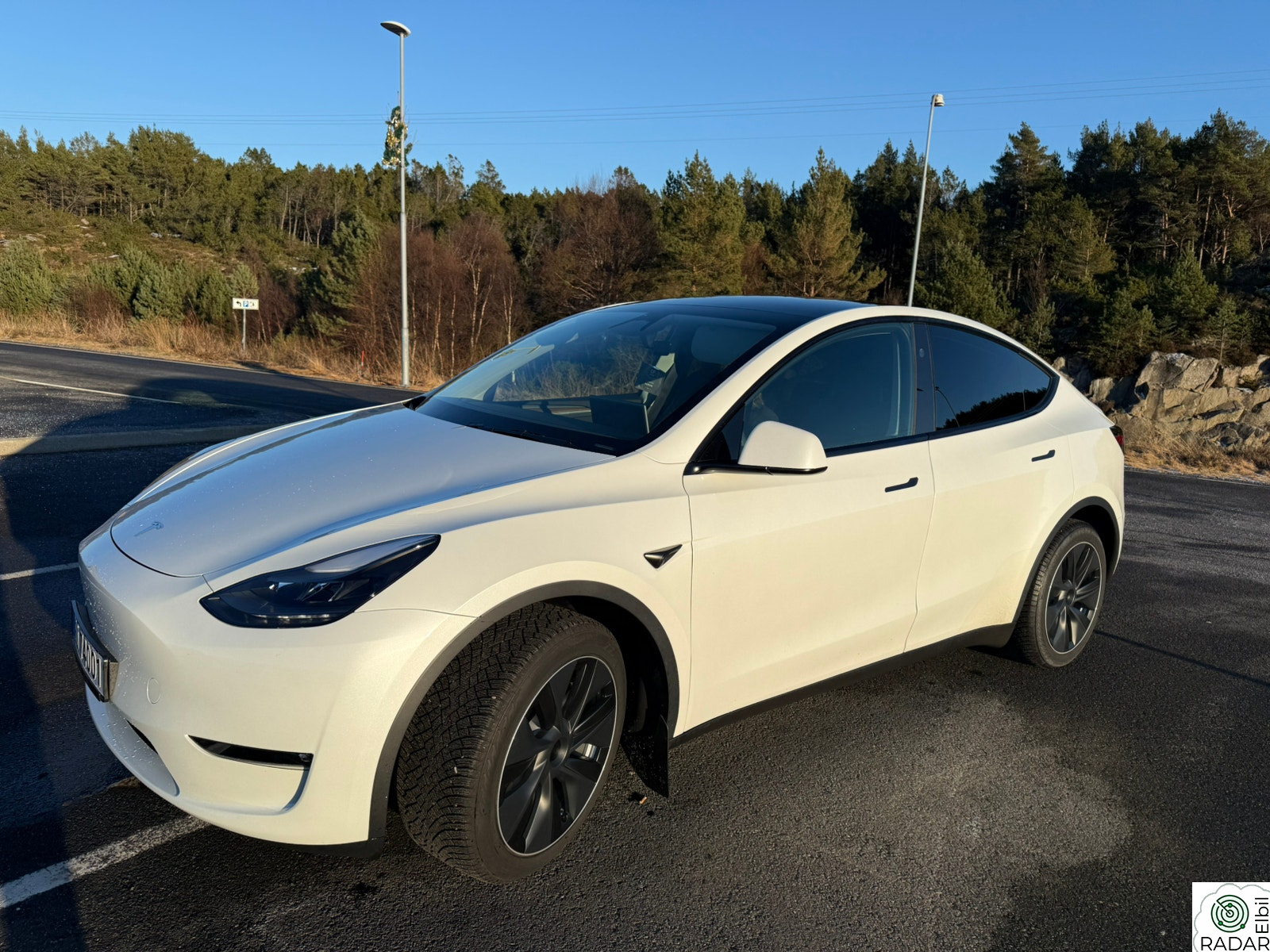 TESLA Model Y Model Y Long Range AWD Dual motor firehjulsdrift