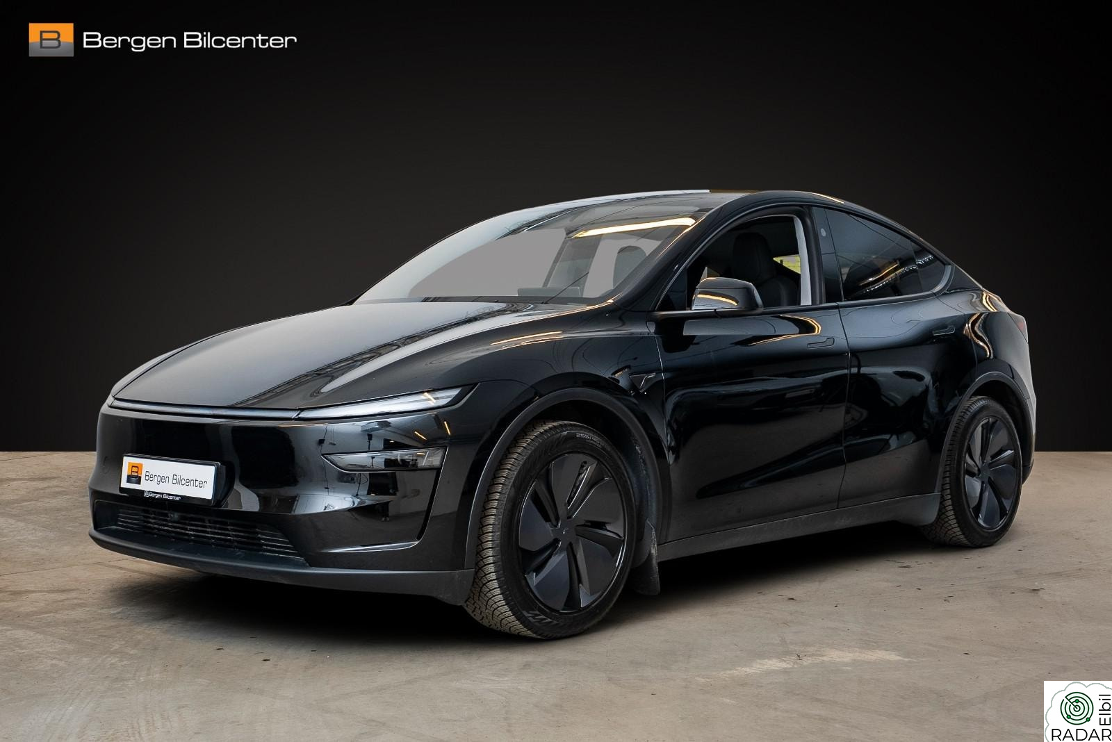 TESLA Model Y Long Range AWD JUNIPER Premium Hengefeste