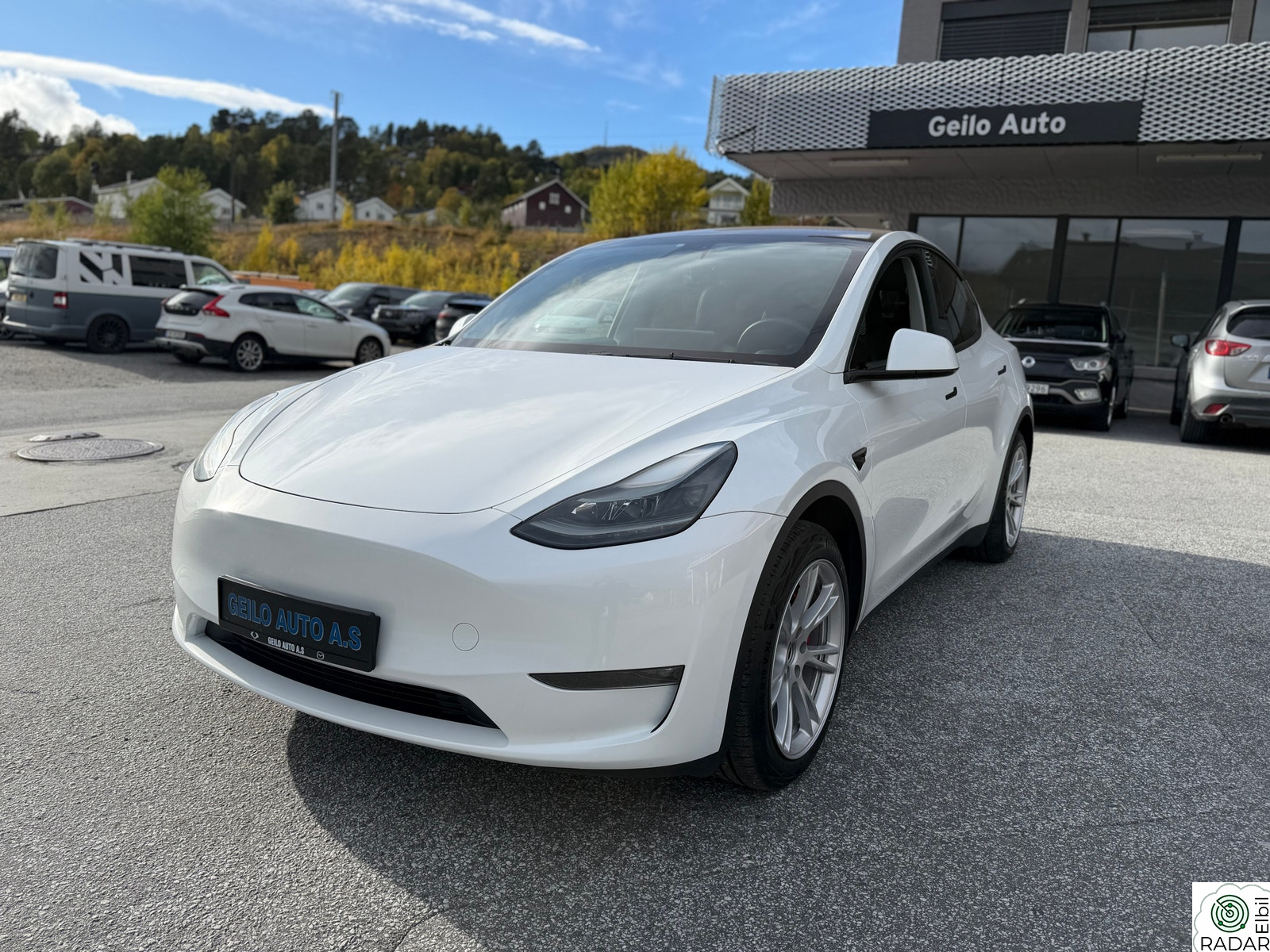 TESLA Model Y Long Range AWD