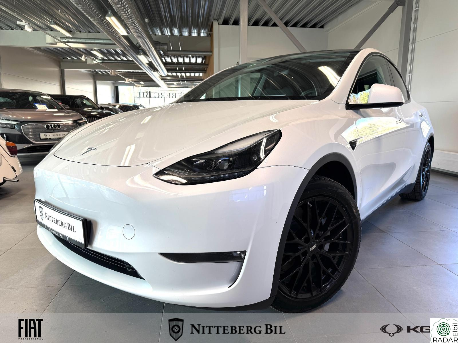 TESLA Model Y Long Range 4x4