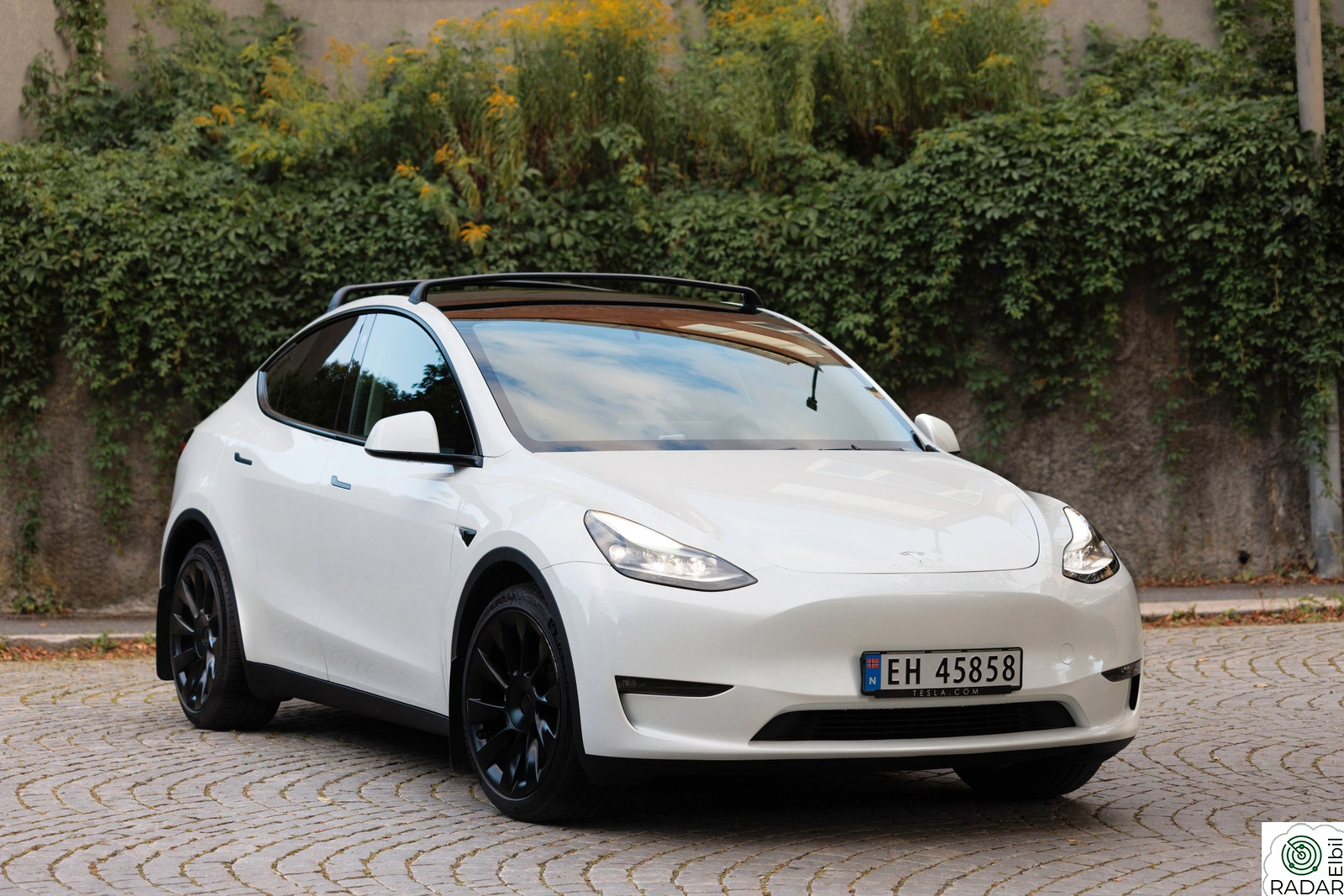 TESLA Model Y LONG RANGE AWD 565KM KROK SKINN VINTER BERLIN