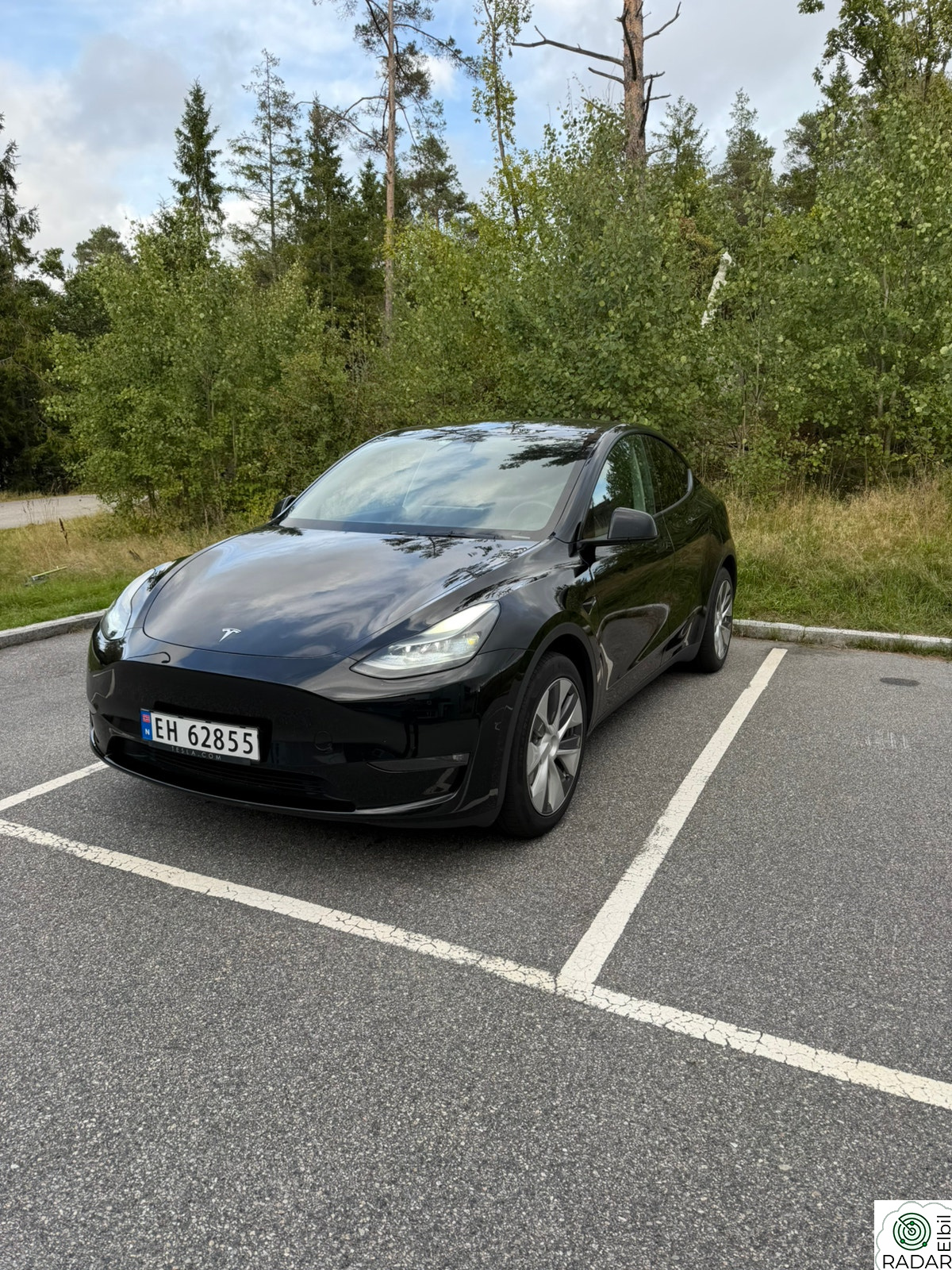 TESLA Model Y Long Range AWD