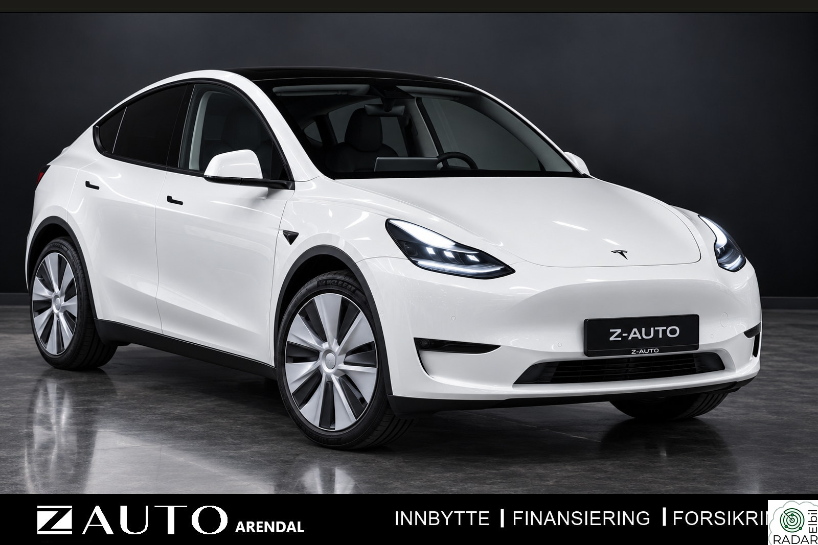 TESLA Model Y LONG RANGE AWD/1EIER/PANO/SKINN/AUTOPILOT/PREMIUM/KROK