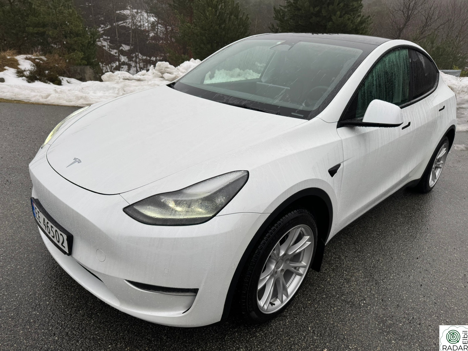 TESLA Model Y LR AWD service lakkforsegling nybilgaranti