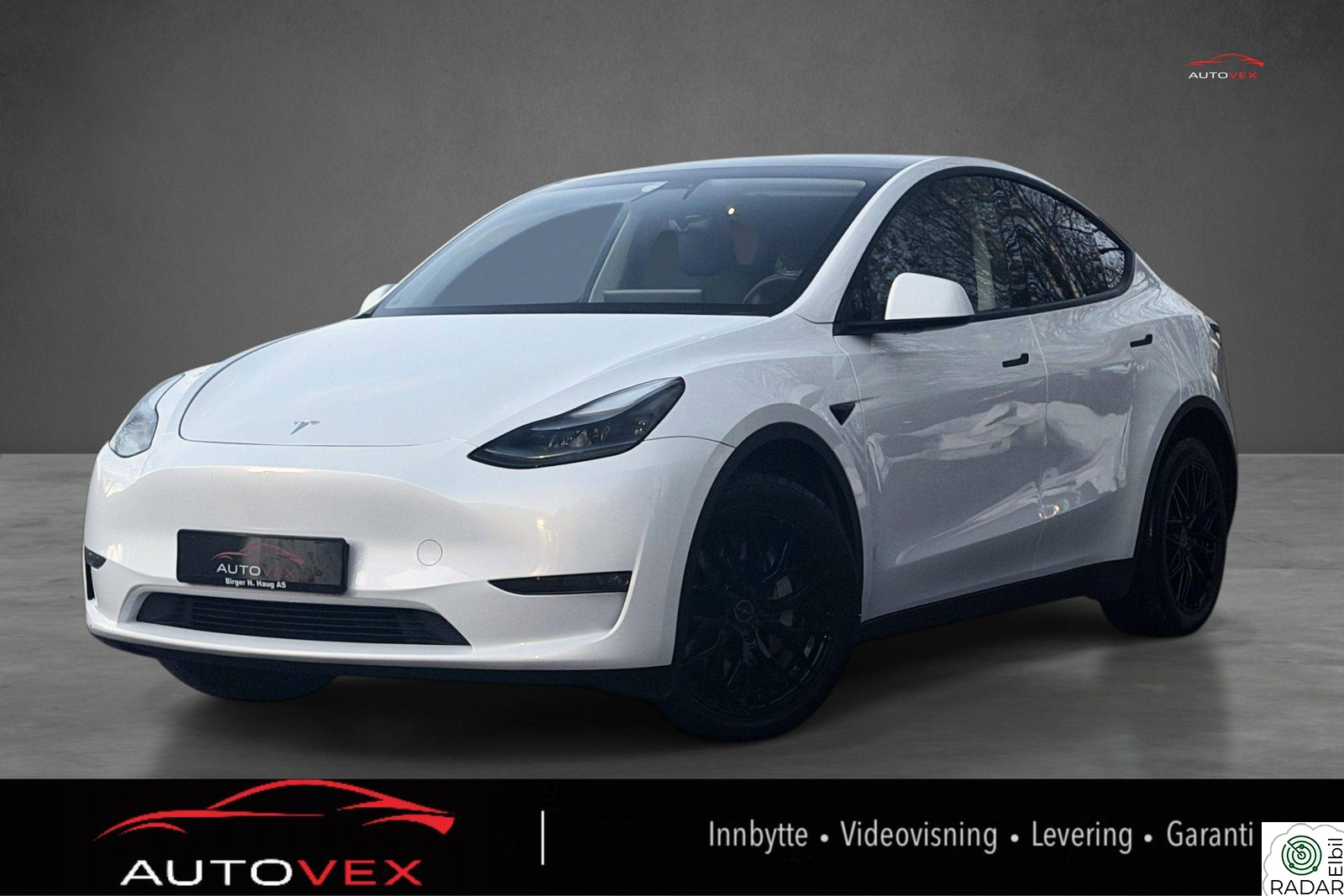 TESLA Model Y LONG RANGE/DUALMOTOR/533KM/BERLIN/MATRIX/ACC/S+V