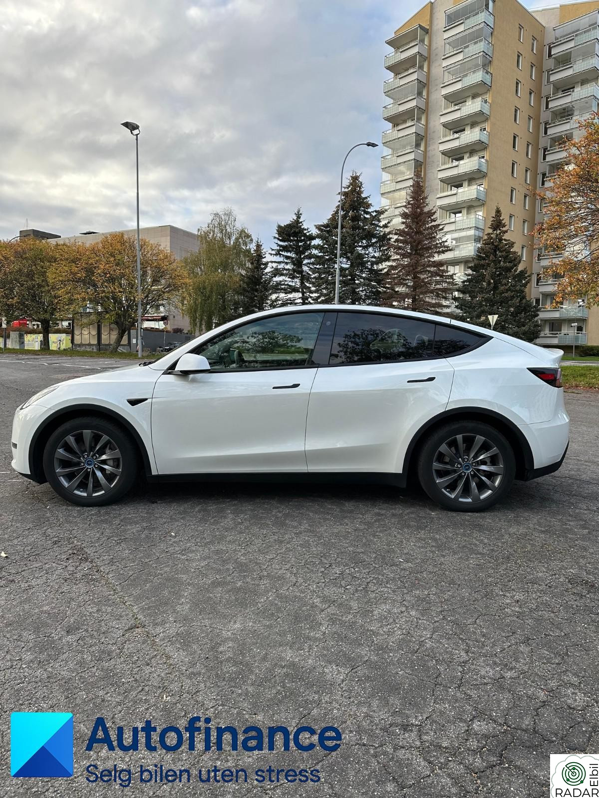 TESLA Model Y // Long Range
